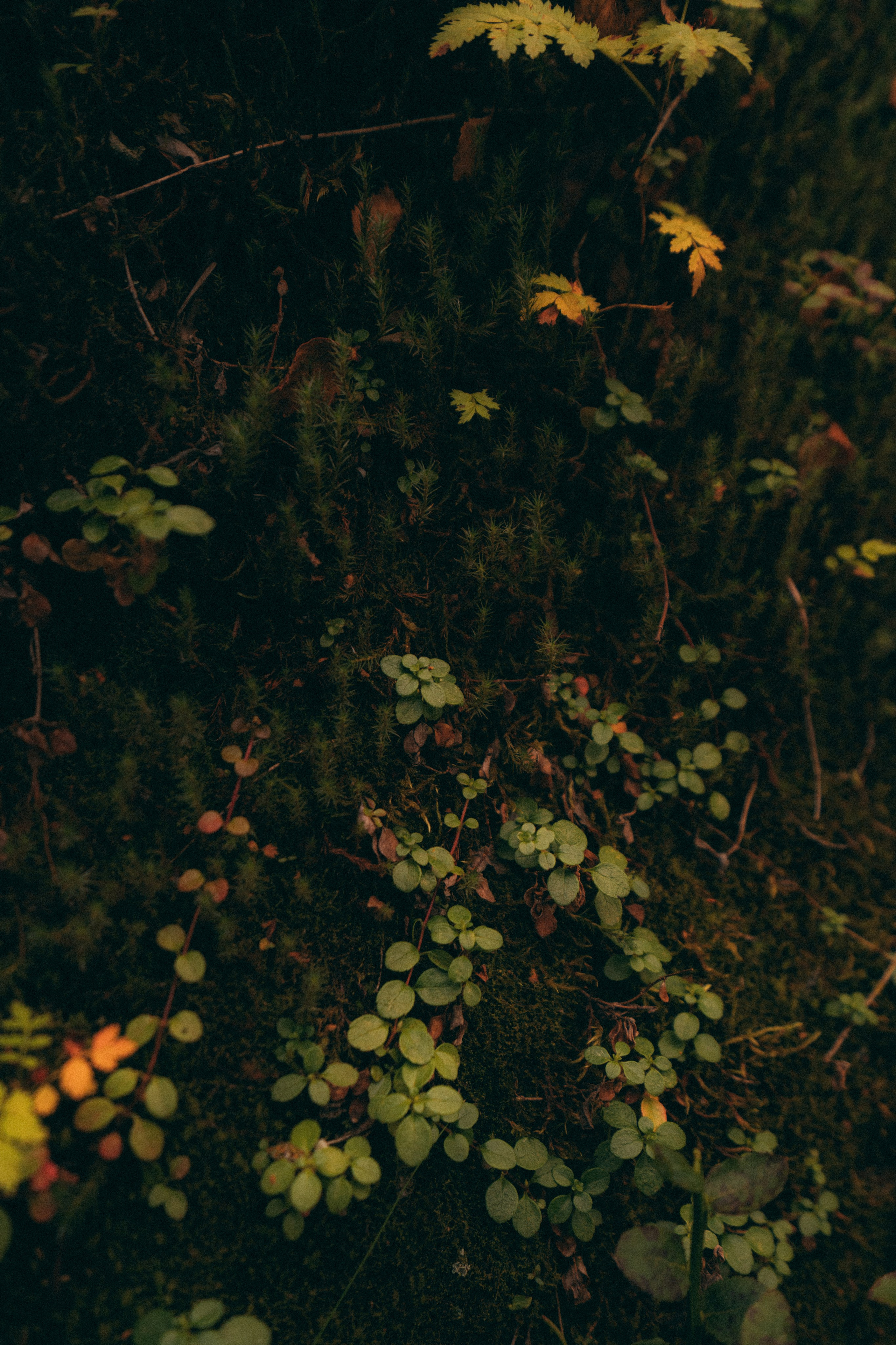 Мурманск. Фотограф Алиса Аспер