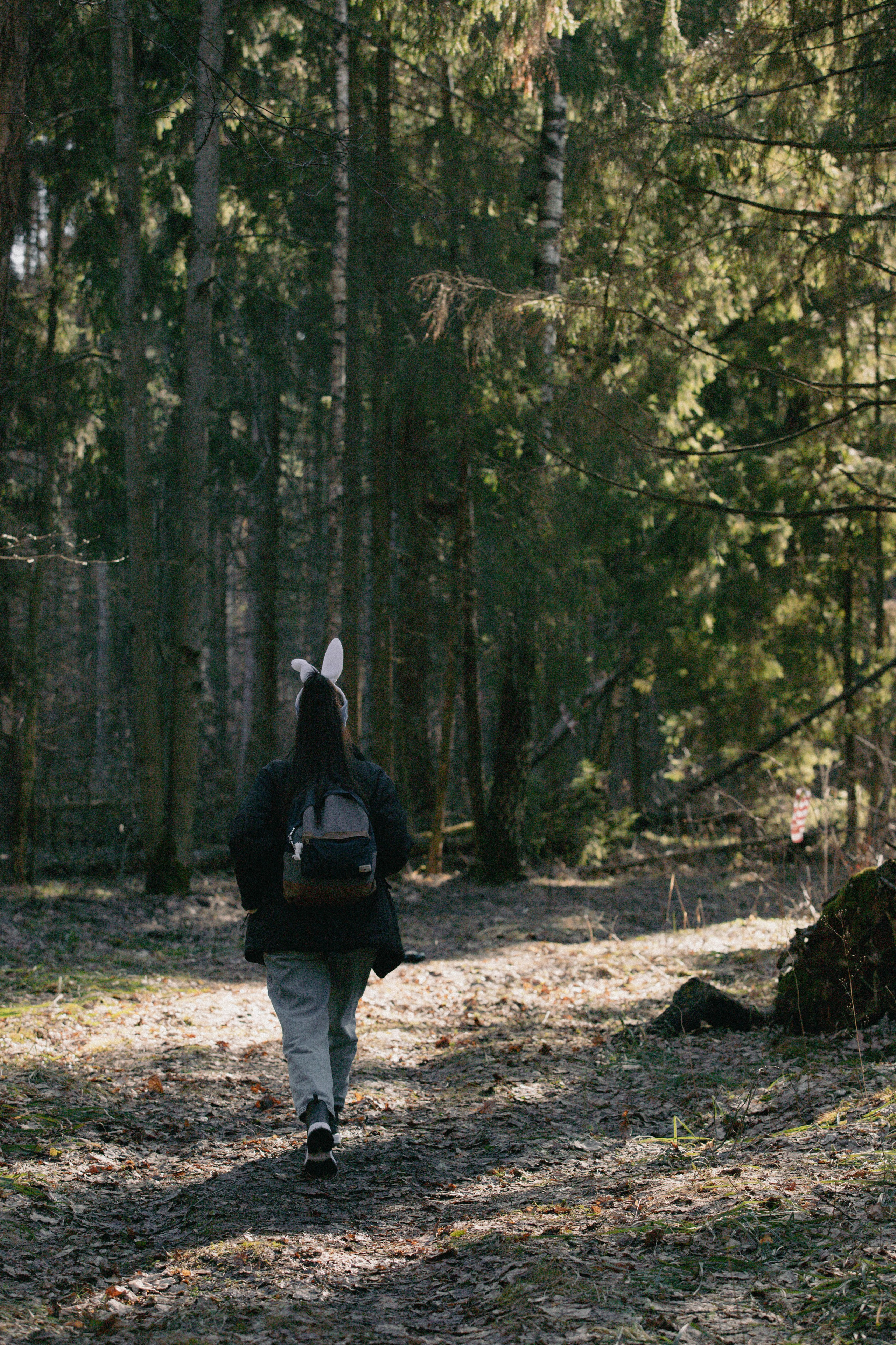 Open Band trail «Лед». Александра Мельниченко/ Бегающий фотограф