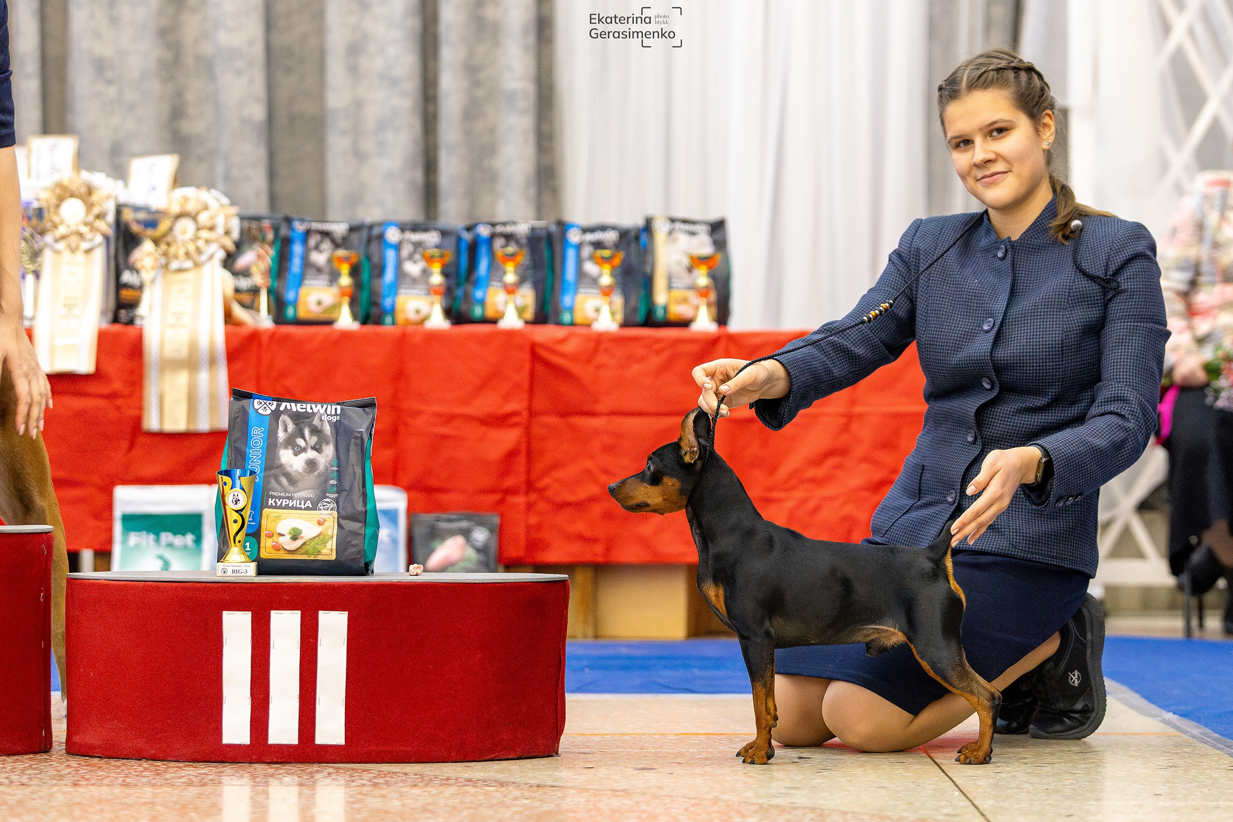 10 ноября 2024, Выставка РКФ, г. Пермь. Htykk_photo