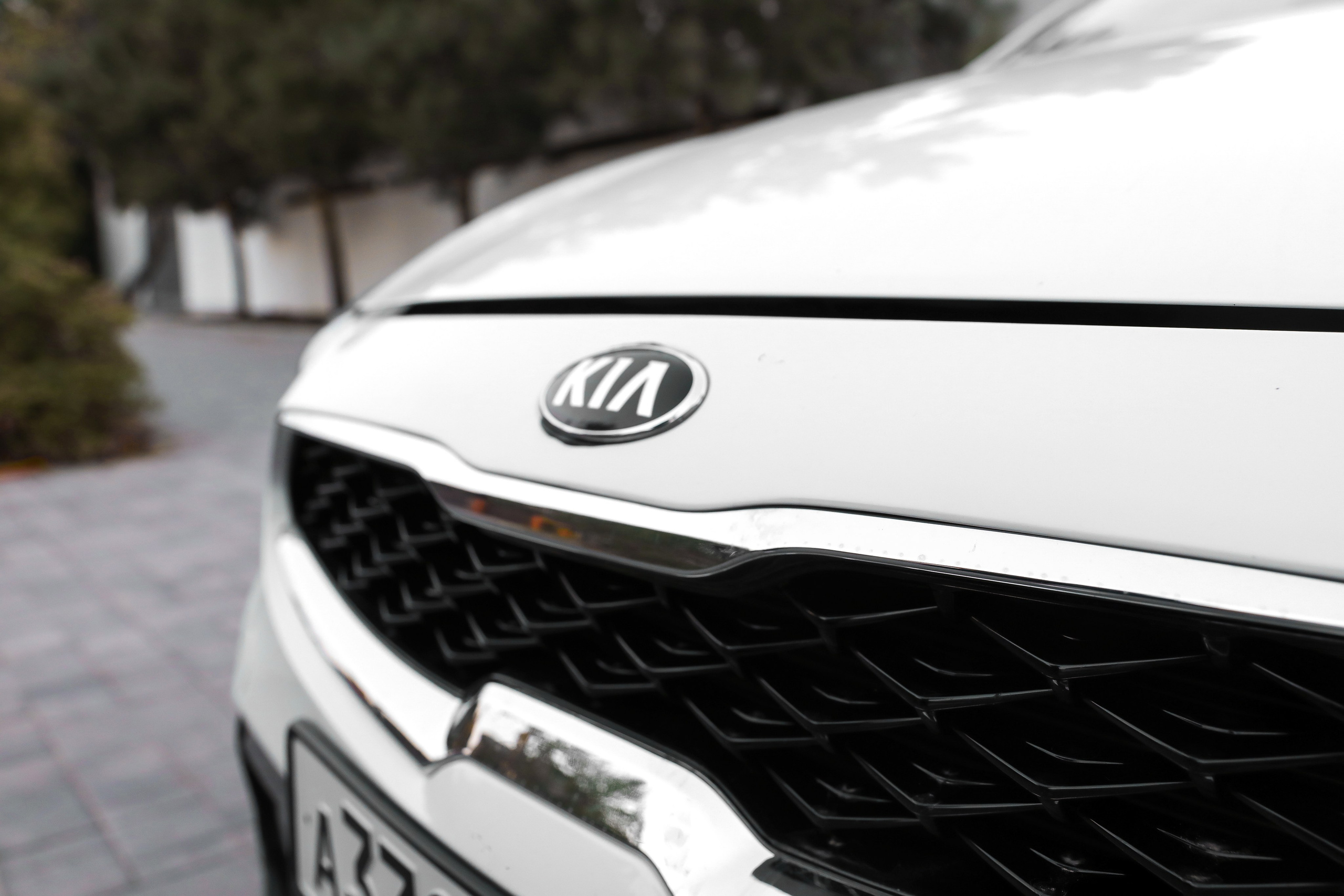 АВТО. Photographer Viktoriya Markushina «My world throug»