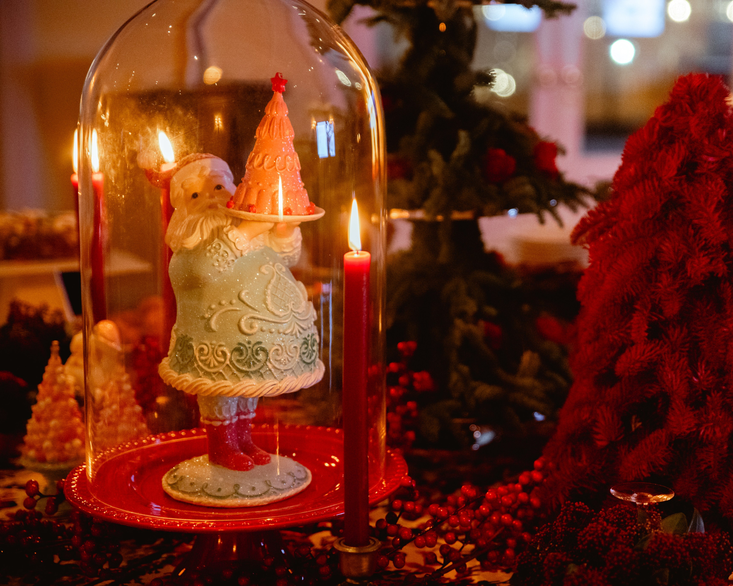 CARLA ASCENÇÃO IN YEATMAN HOTEL. Anastasiia Antoniuk portrait, family and couple photographer, Portugal