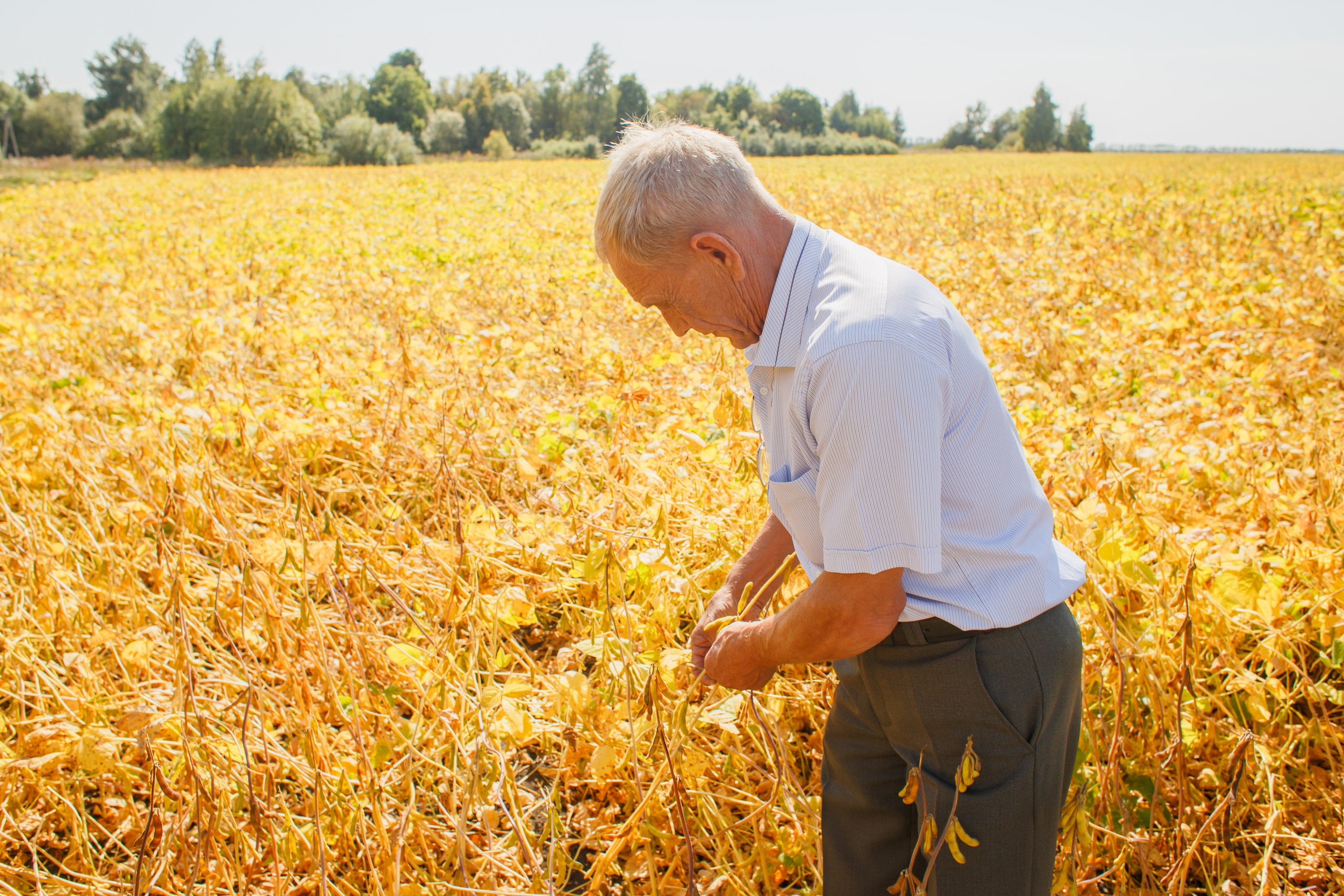 Агротерра. Фотограф Яков Поспехов