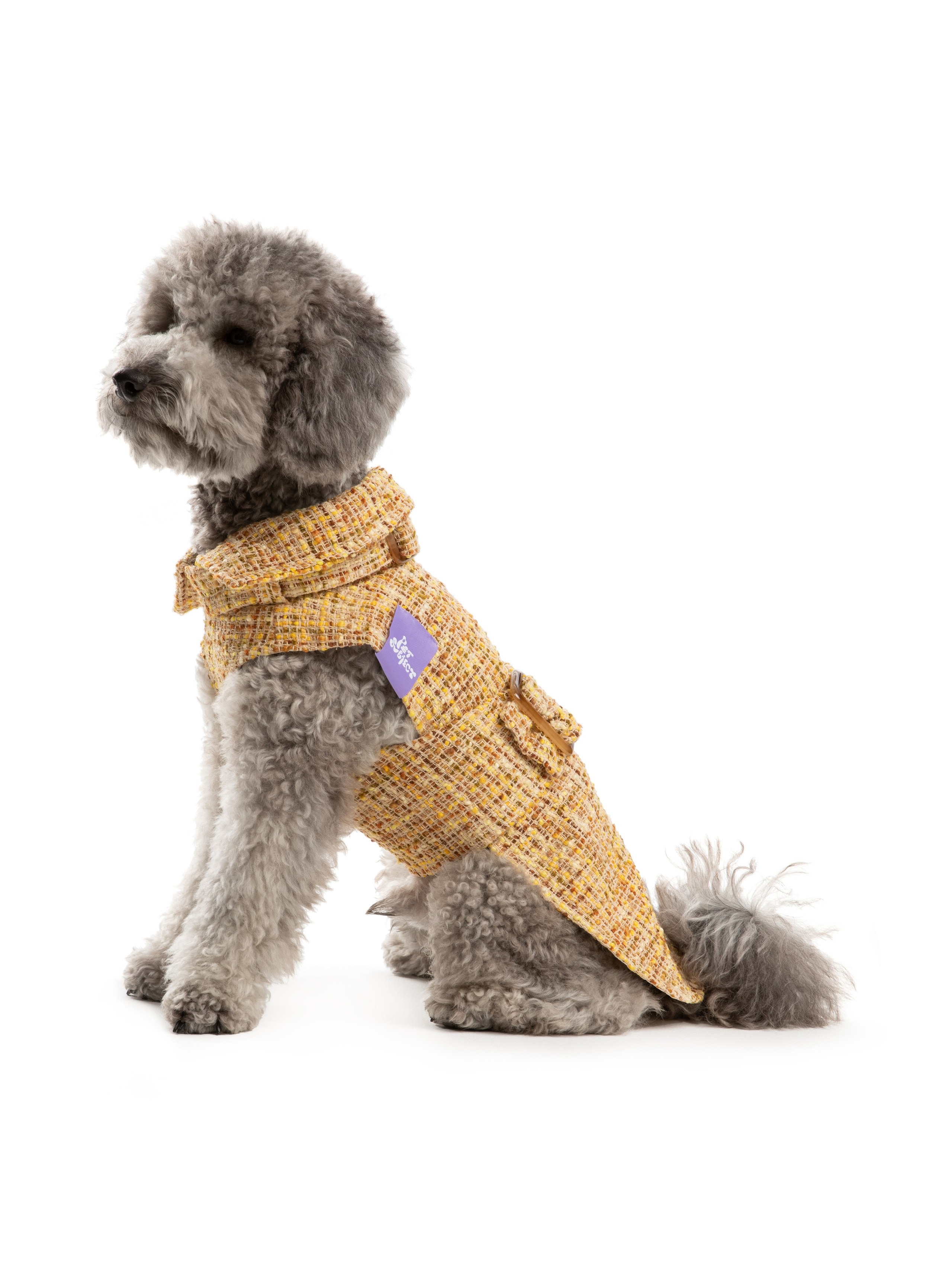 Одежда для собак Pet Subject. Олег Дмитриев