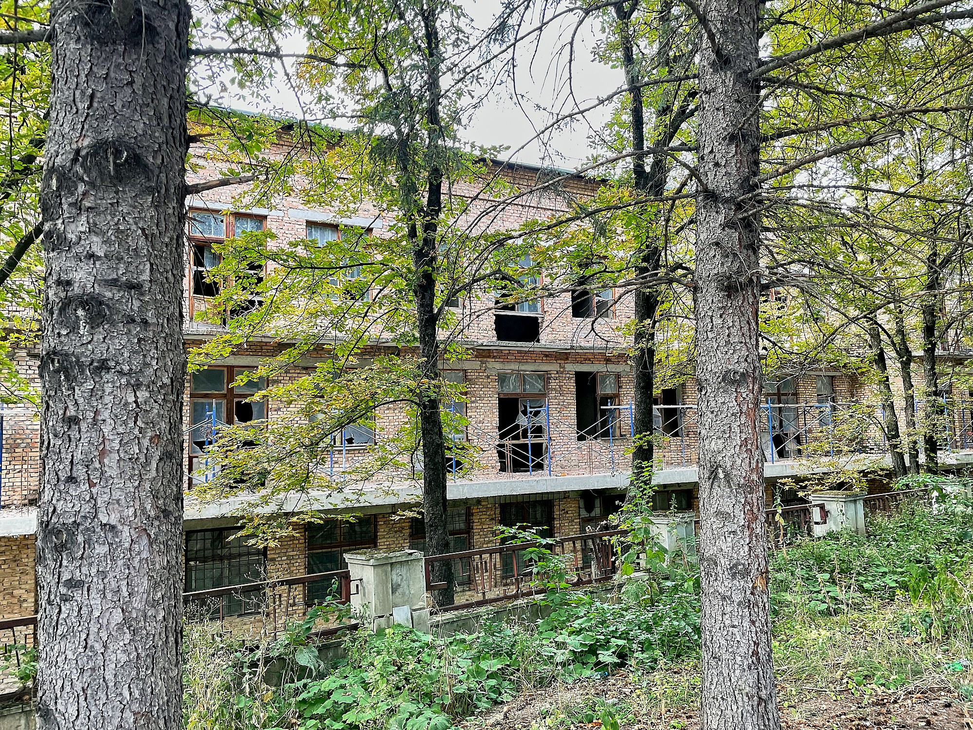 Санаторий им. Семашко, Кисловодск, август 2024. Фотографии отовсюду и обо всем