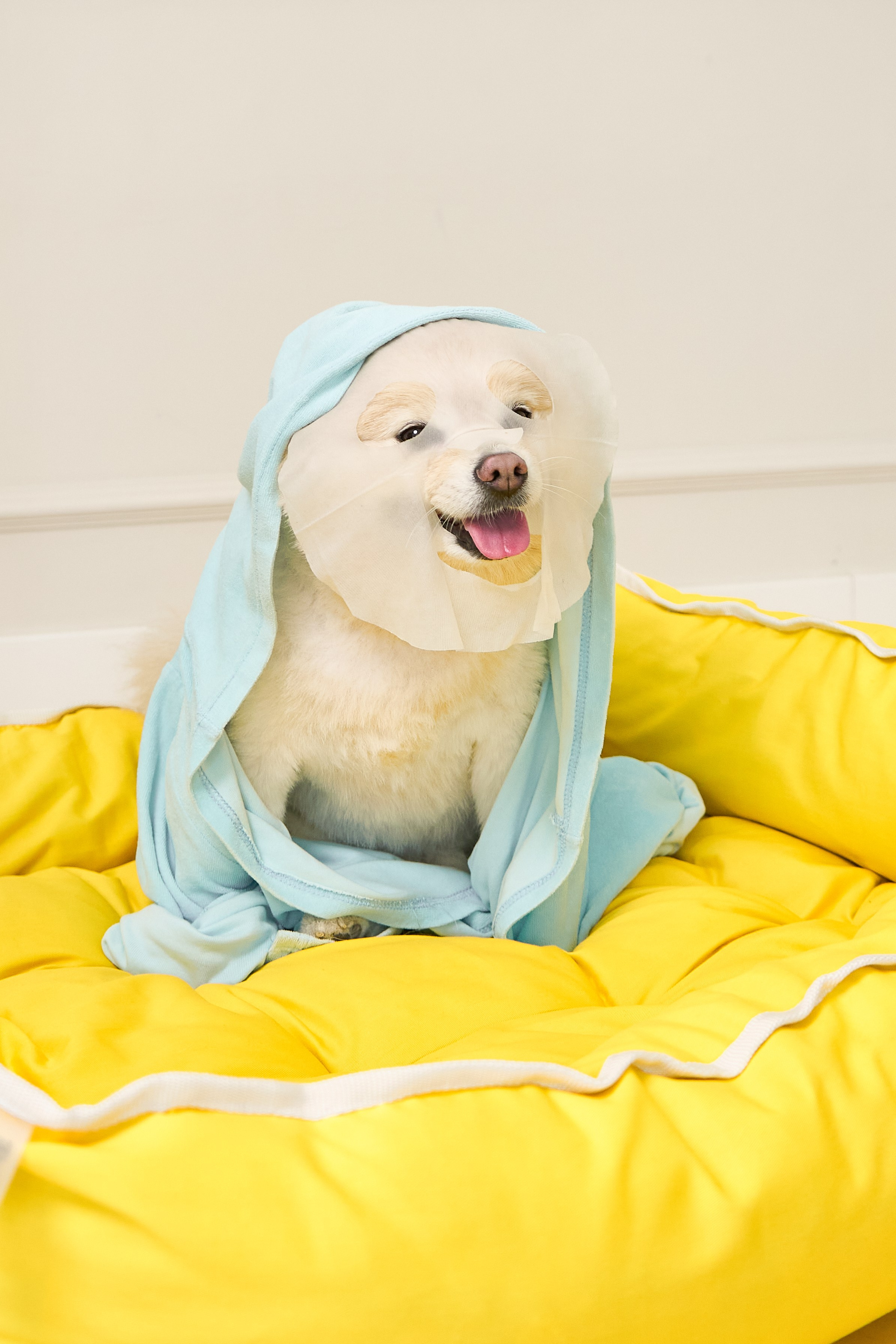 Вещь добра. Фотограф для брендов и маркетплейсов Екатеринбург Екатерина Дроздова