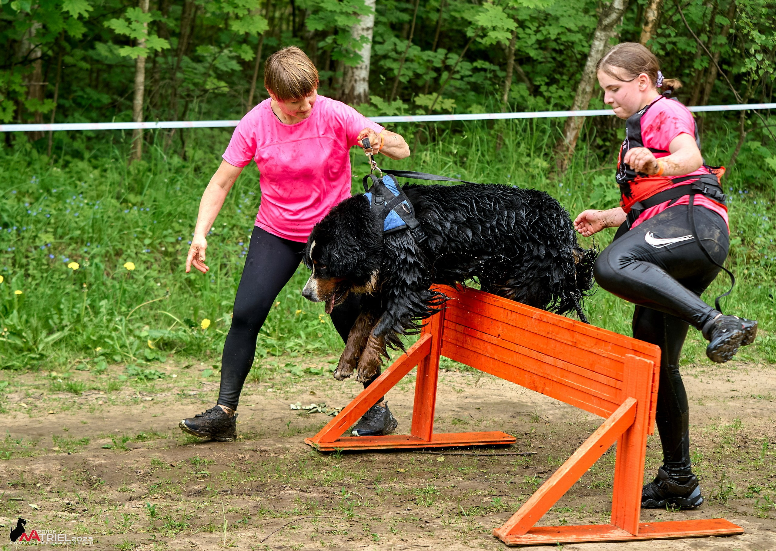 Russian Extreme Dog Trail — 2025
