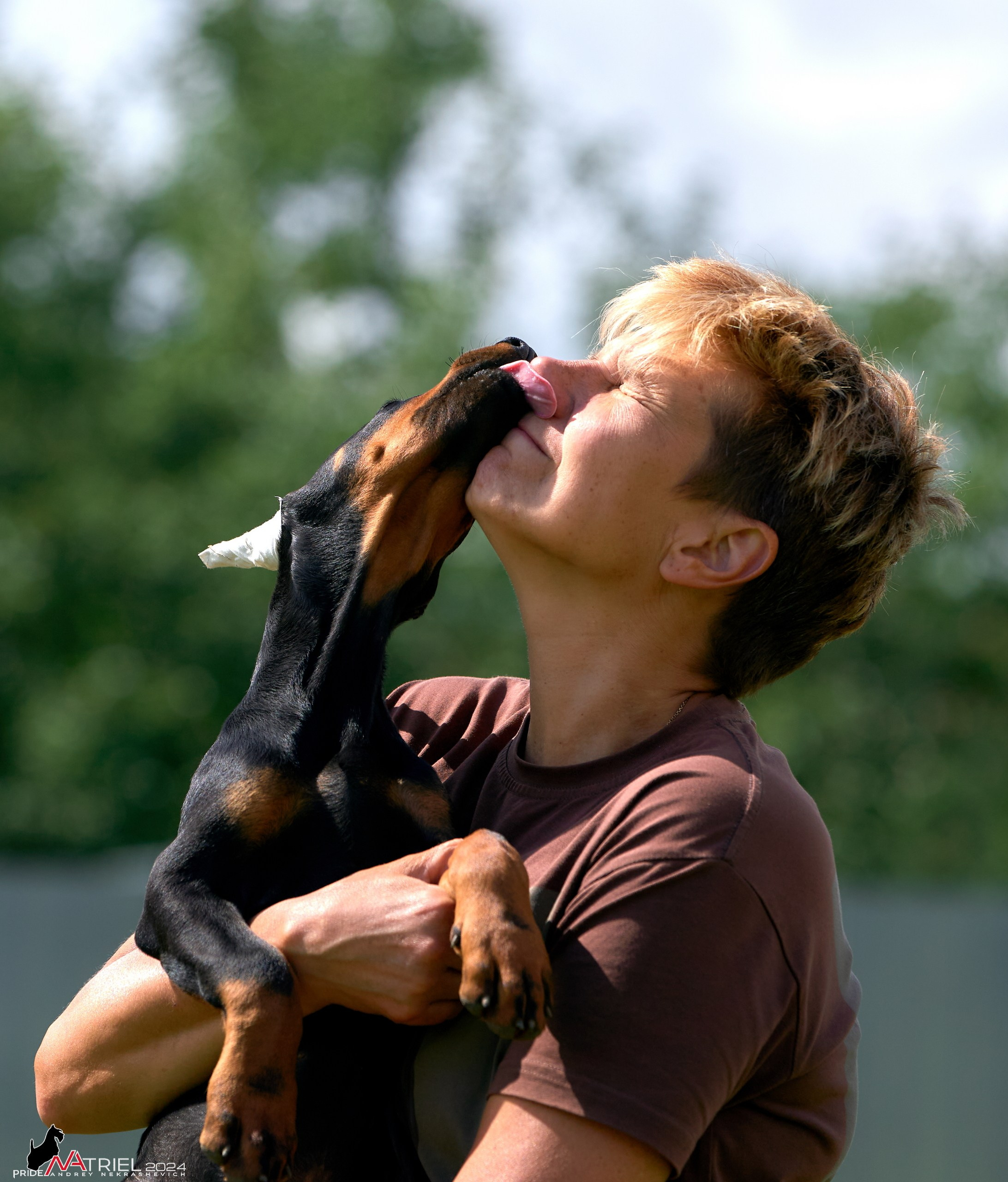 Съемка щенков доберманы