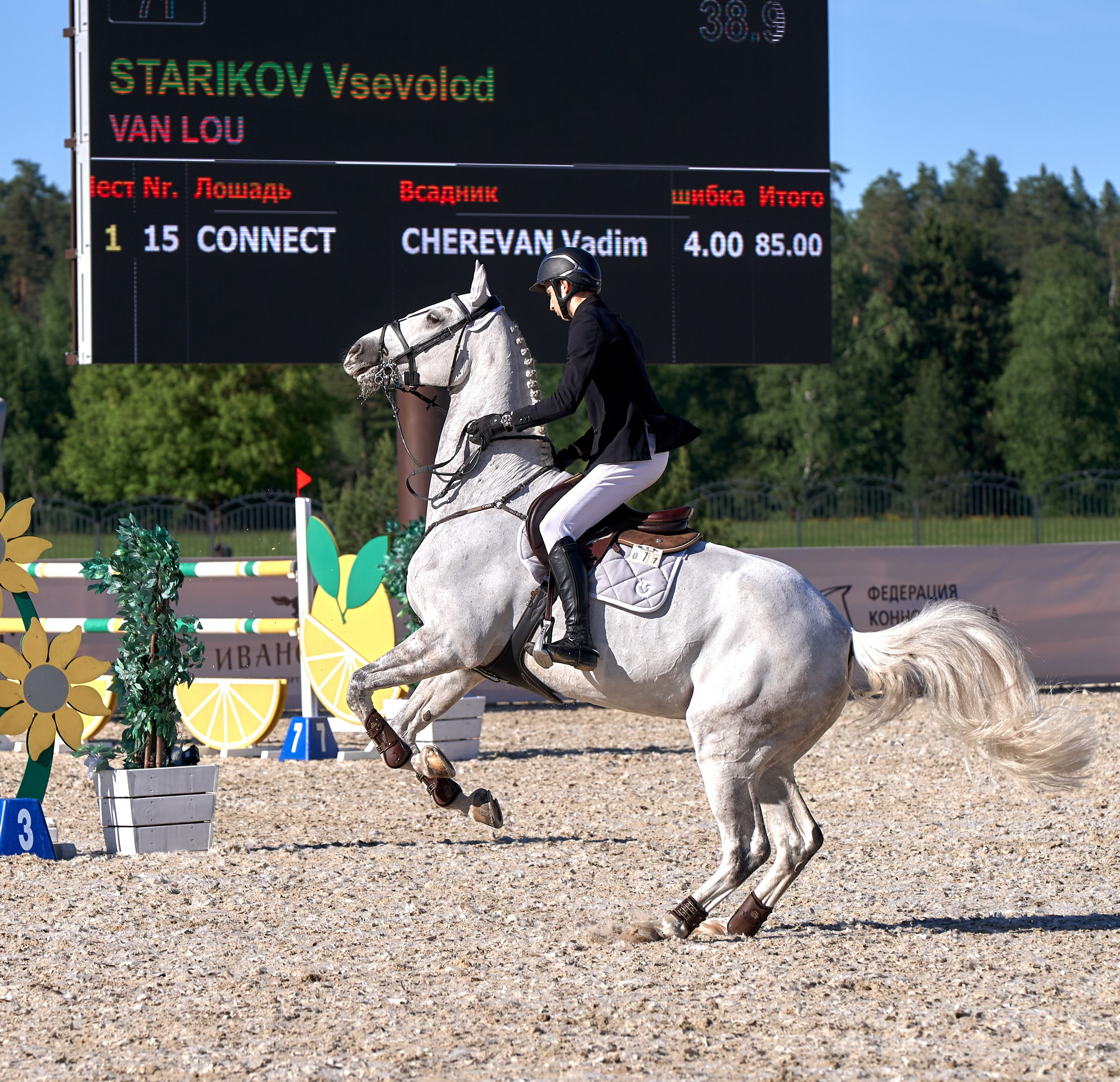Соревнования на лошадях — галерея NATRIEL