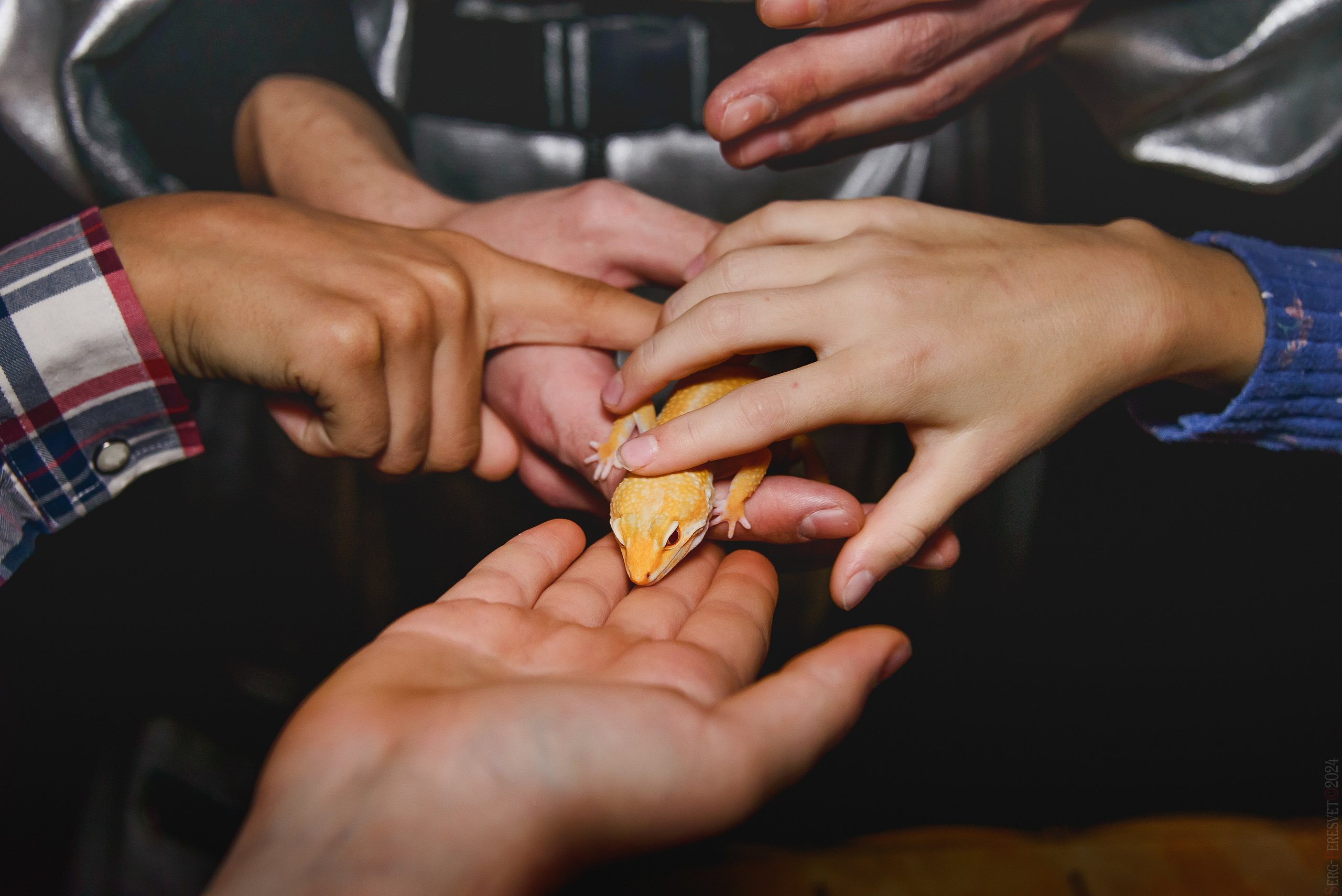 Треш-коробка. Ваш фотограф на праздник в Москве, Раменском, Жуковском, Люберцах
