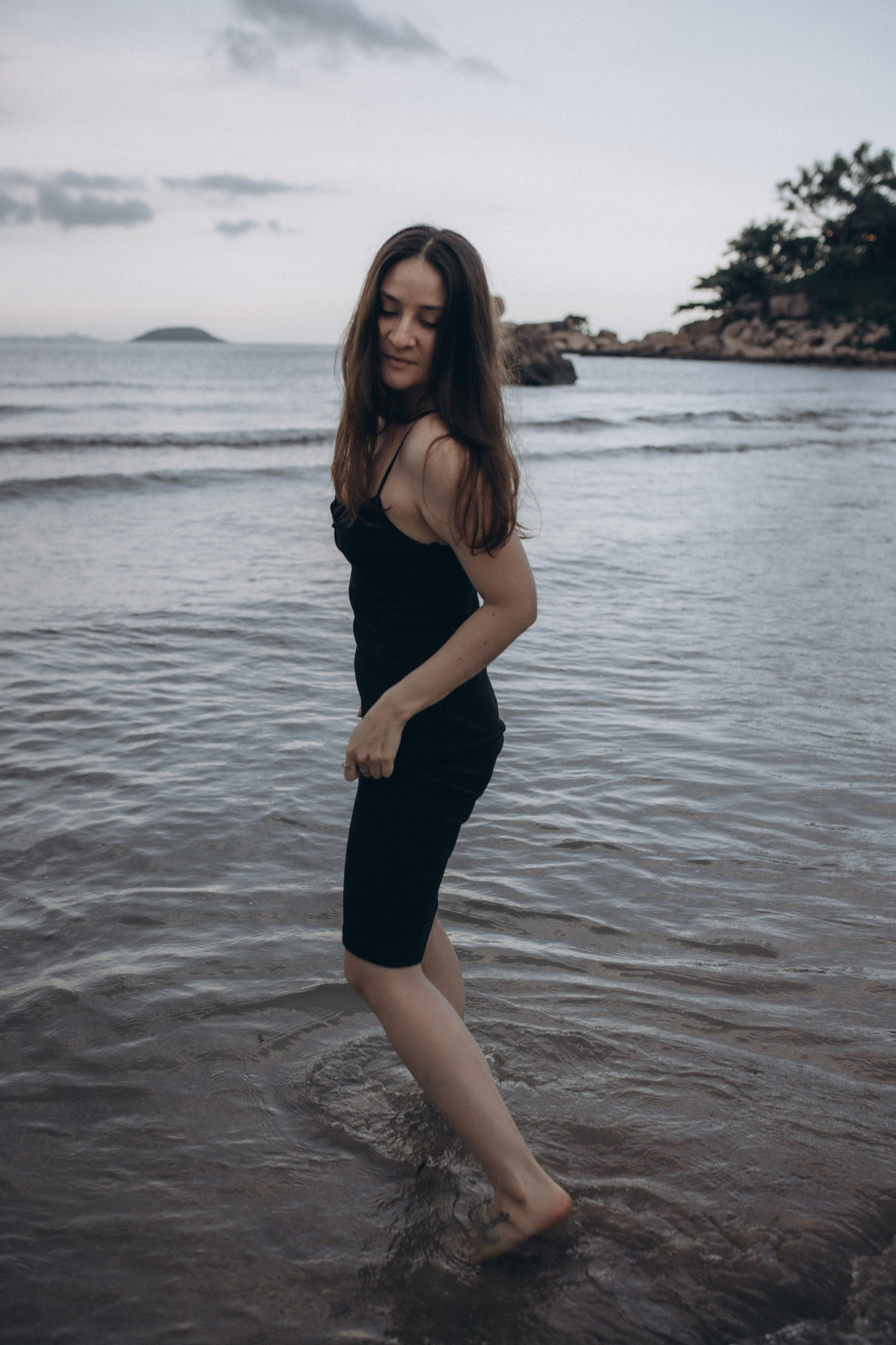 Лилия «сад камней» Вьетнам. Главная