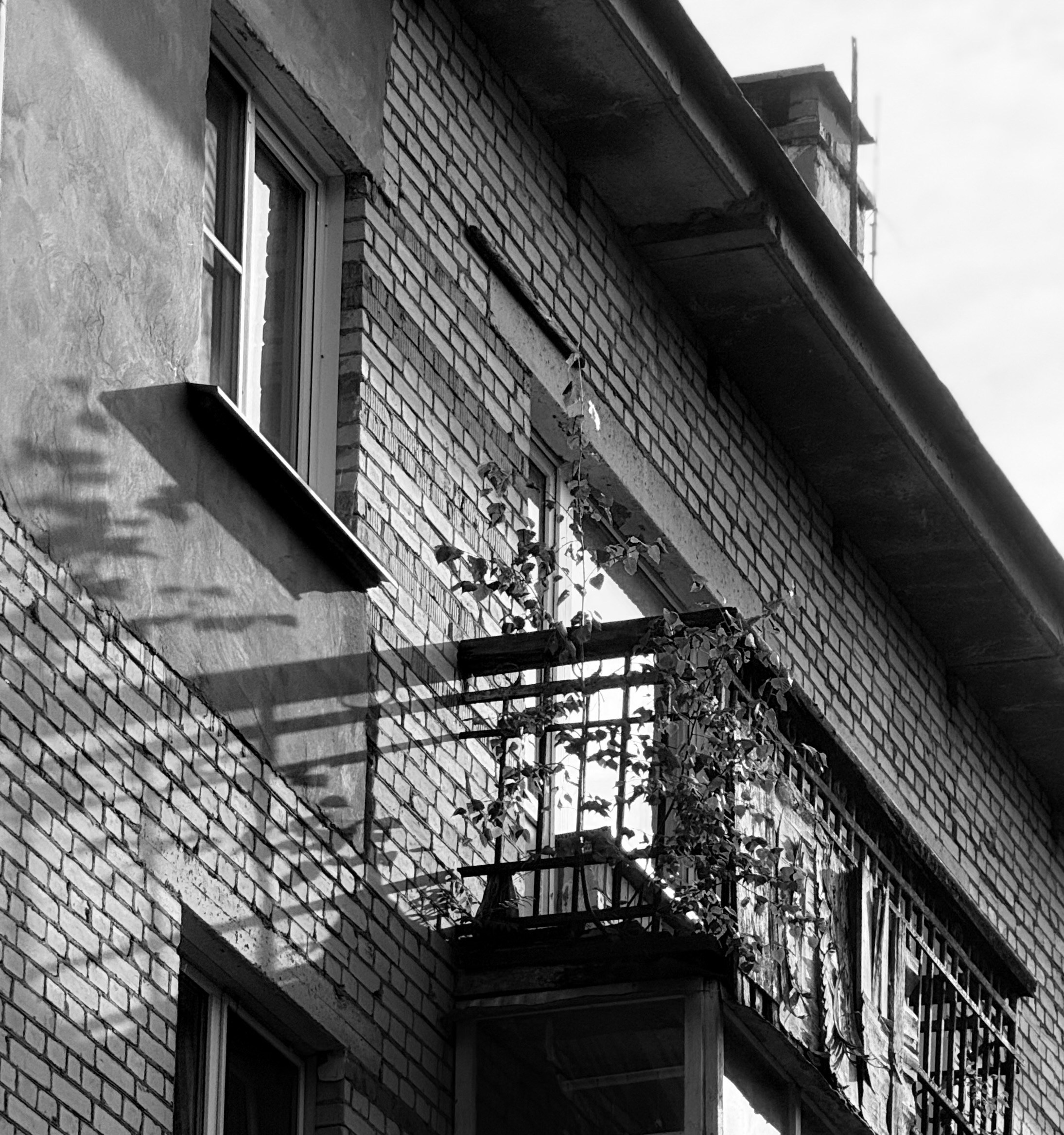 Уличный. Фотограф Арсений Королев