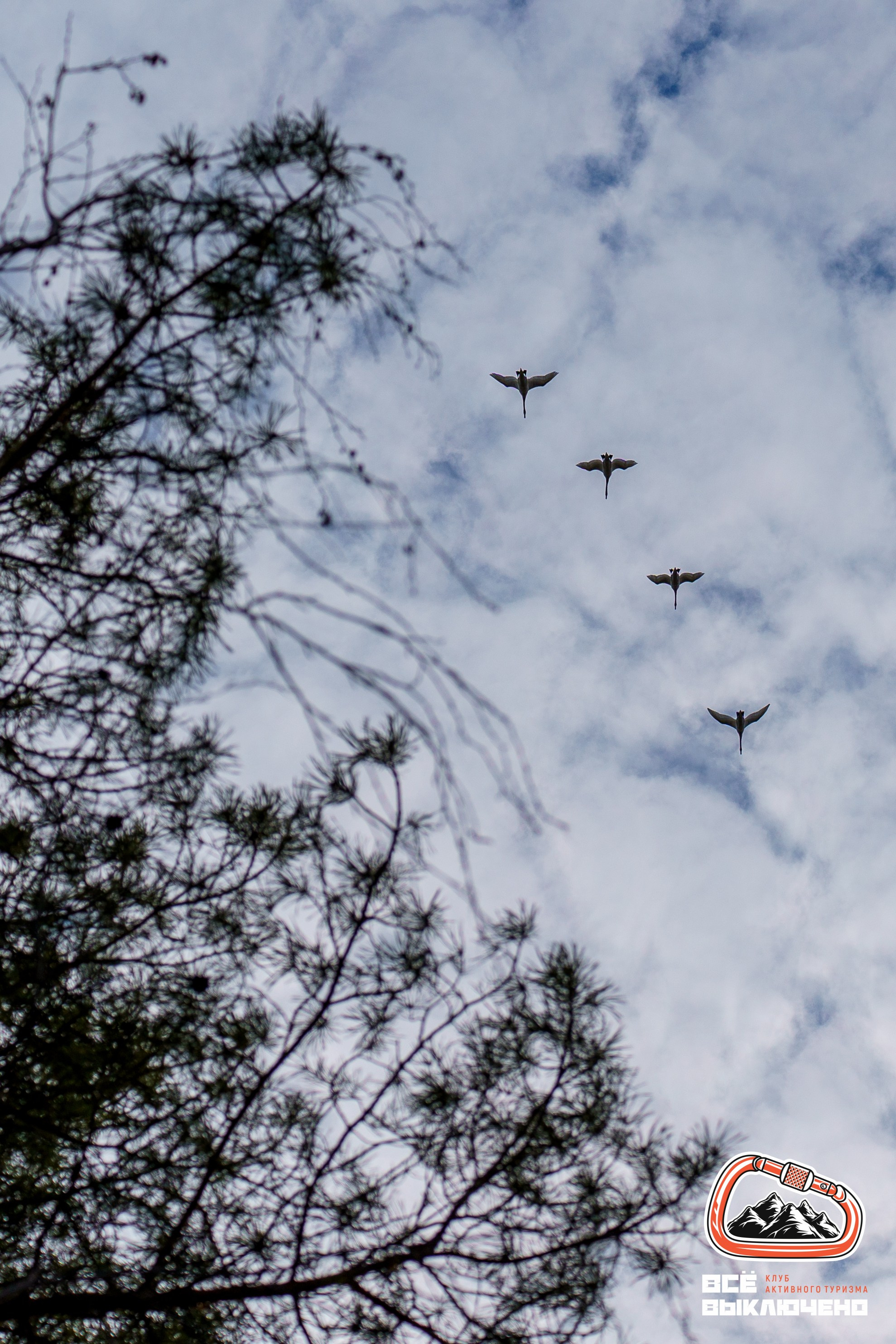 Спортивный репортаж