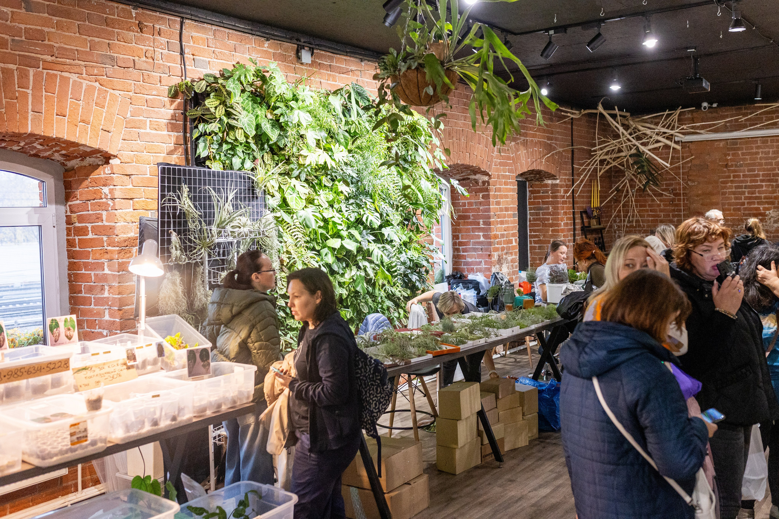 GreenRare ярмарка 2024. Александра Куликова фотограф, Москва