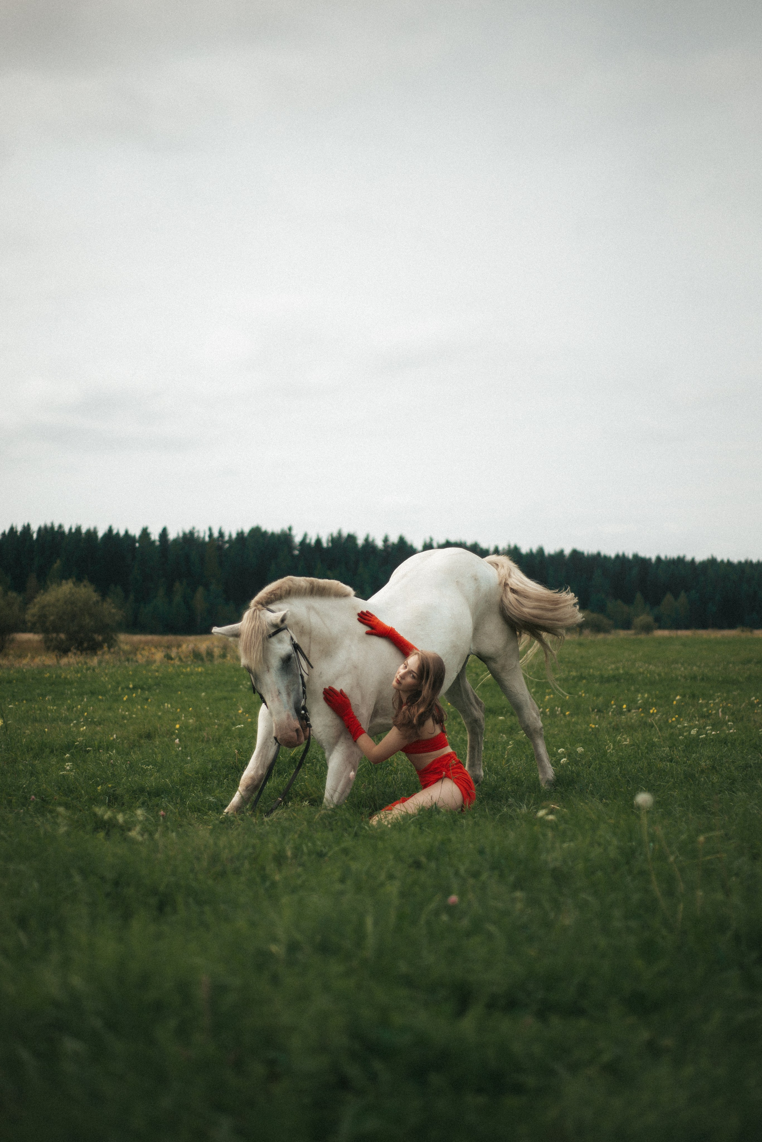Horse. Фотограф