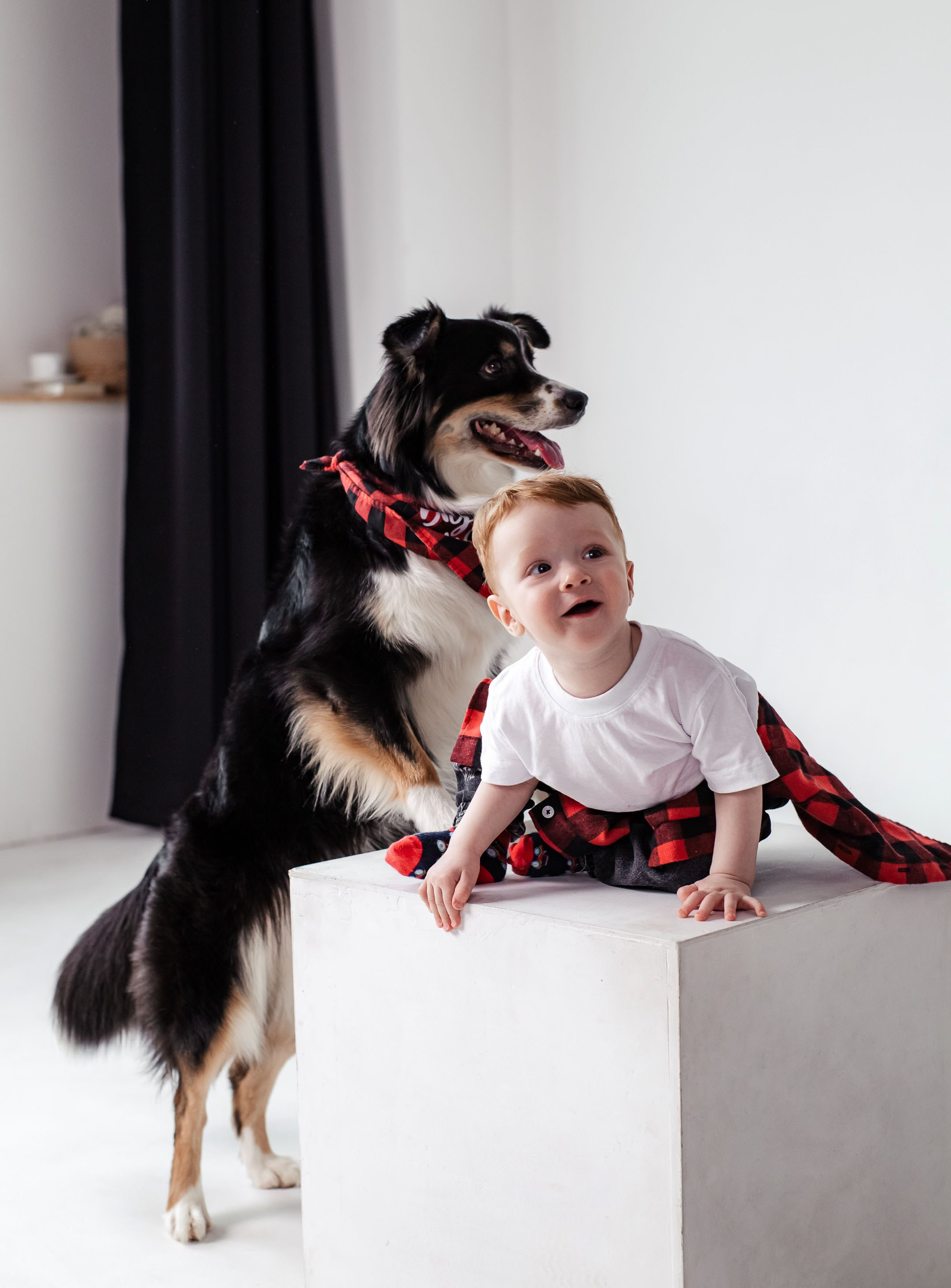 Студийная съёмка. Фотограф Тверь|Москва|Волоколамск| Отт Кристина