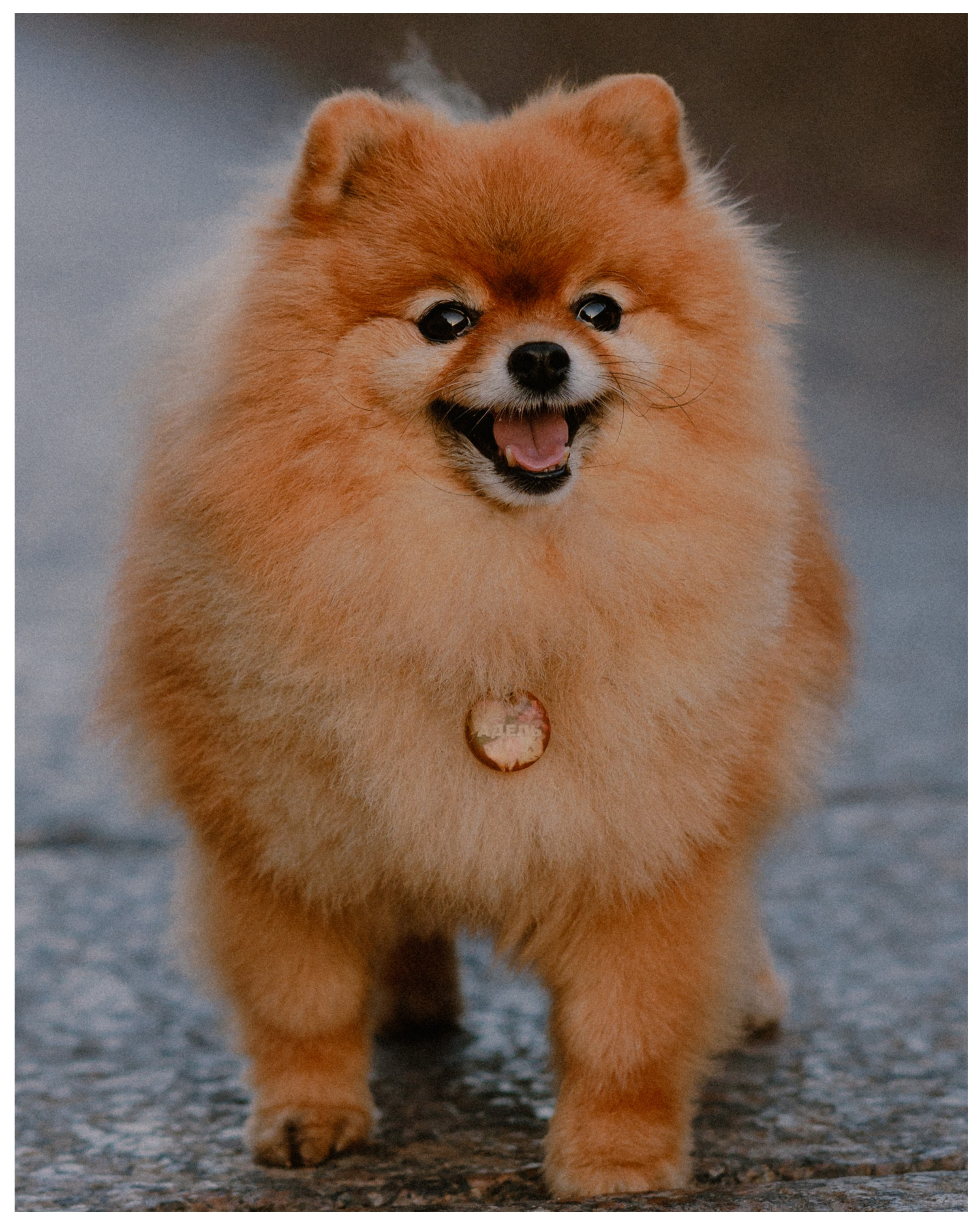 Карина и Адель. Фотограф в Санкт-Петербурге Алёна Губинская