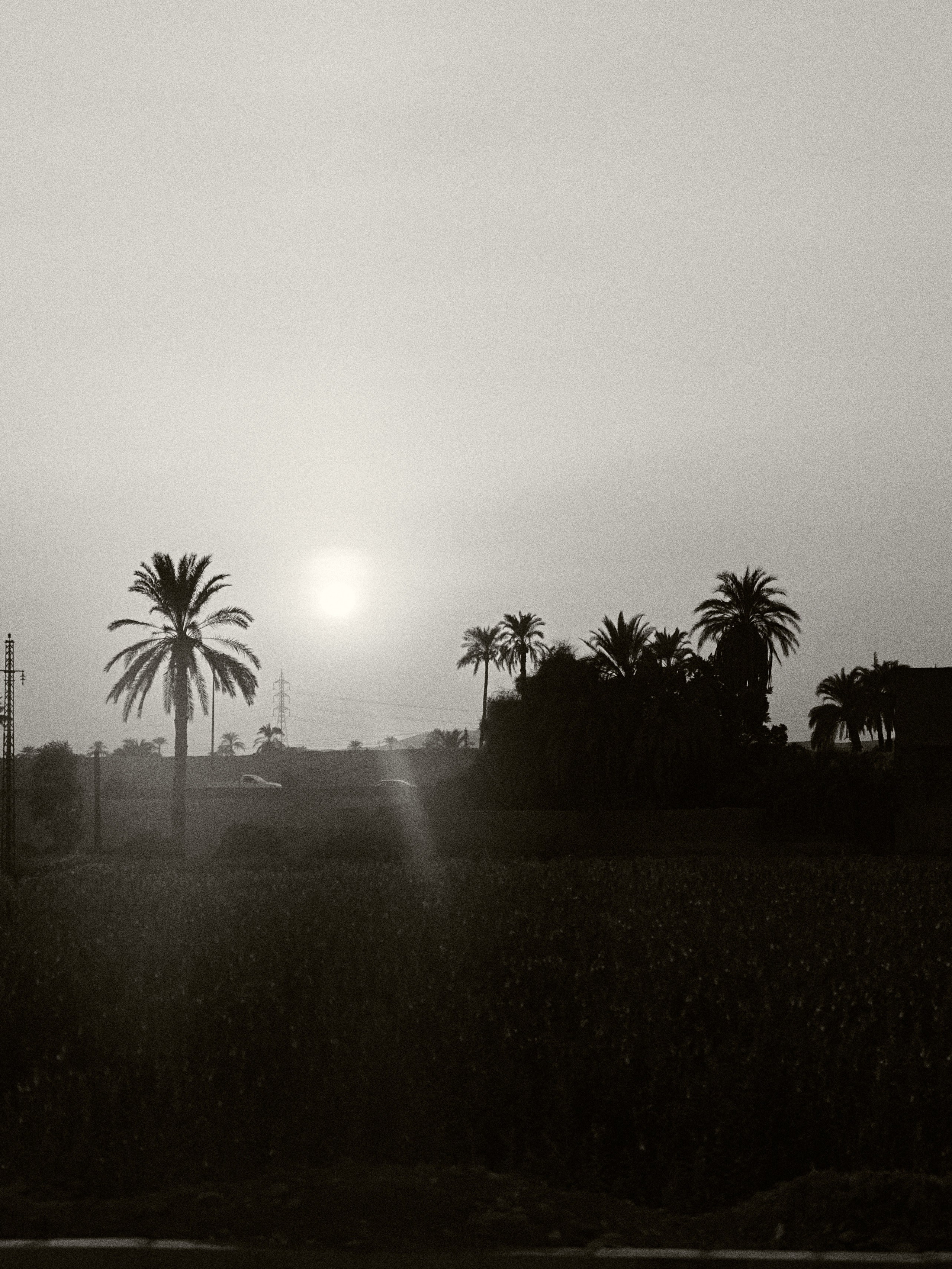 B&W. Jorgis — фотограф в Хургаде / обучение фотографии