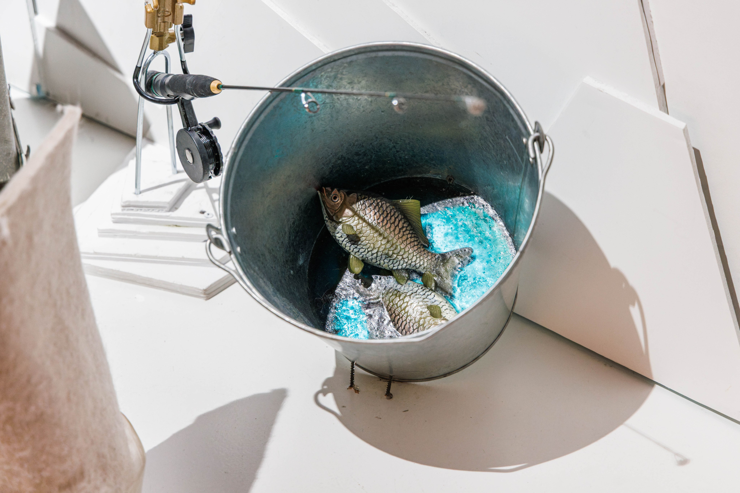 Лед. Жизнь — познавательно-развлекательная выставка. Фотограф Балаев Михаил