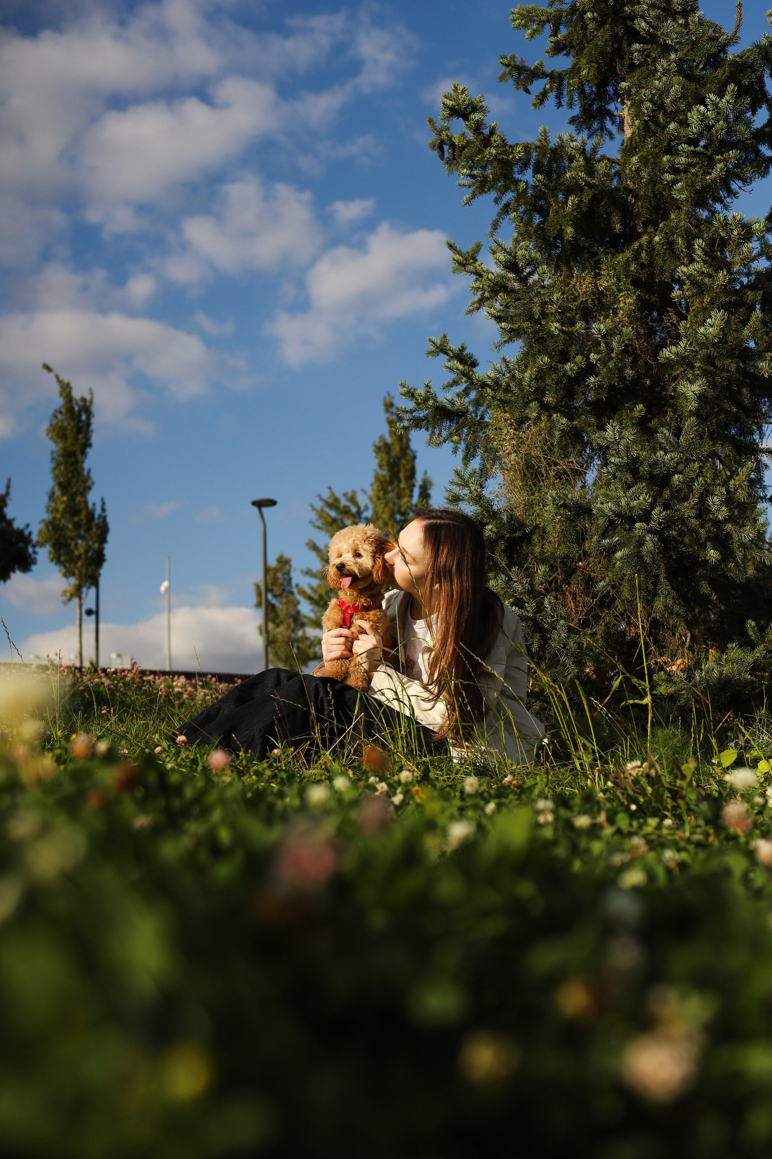 Поршик и Ксения. Фотограф-анималист Ксения Шевцова|Москва
