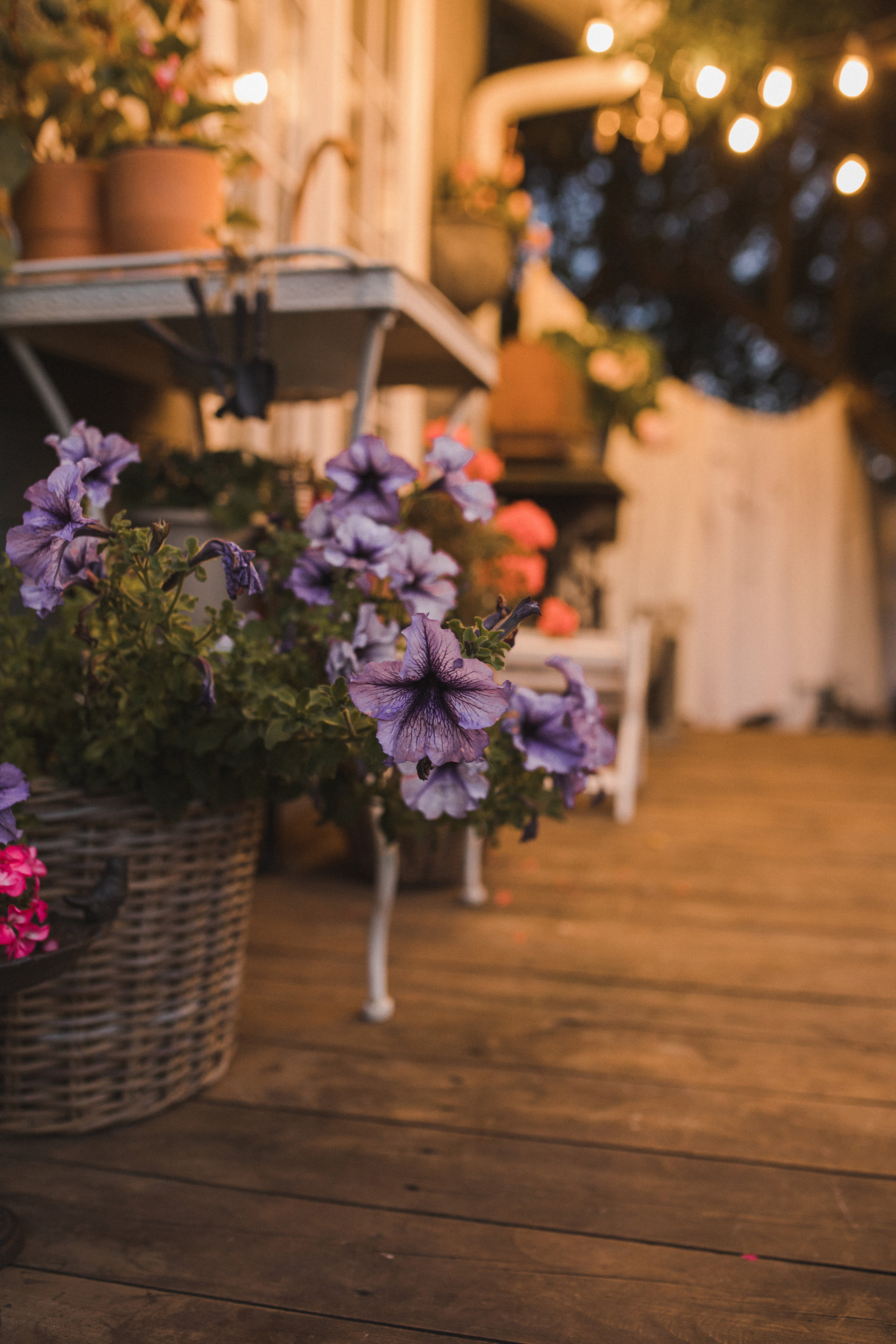 Ангелина и Николь. Свадебный и семейный фотограф в Белгороде Евгения Курочкина