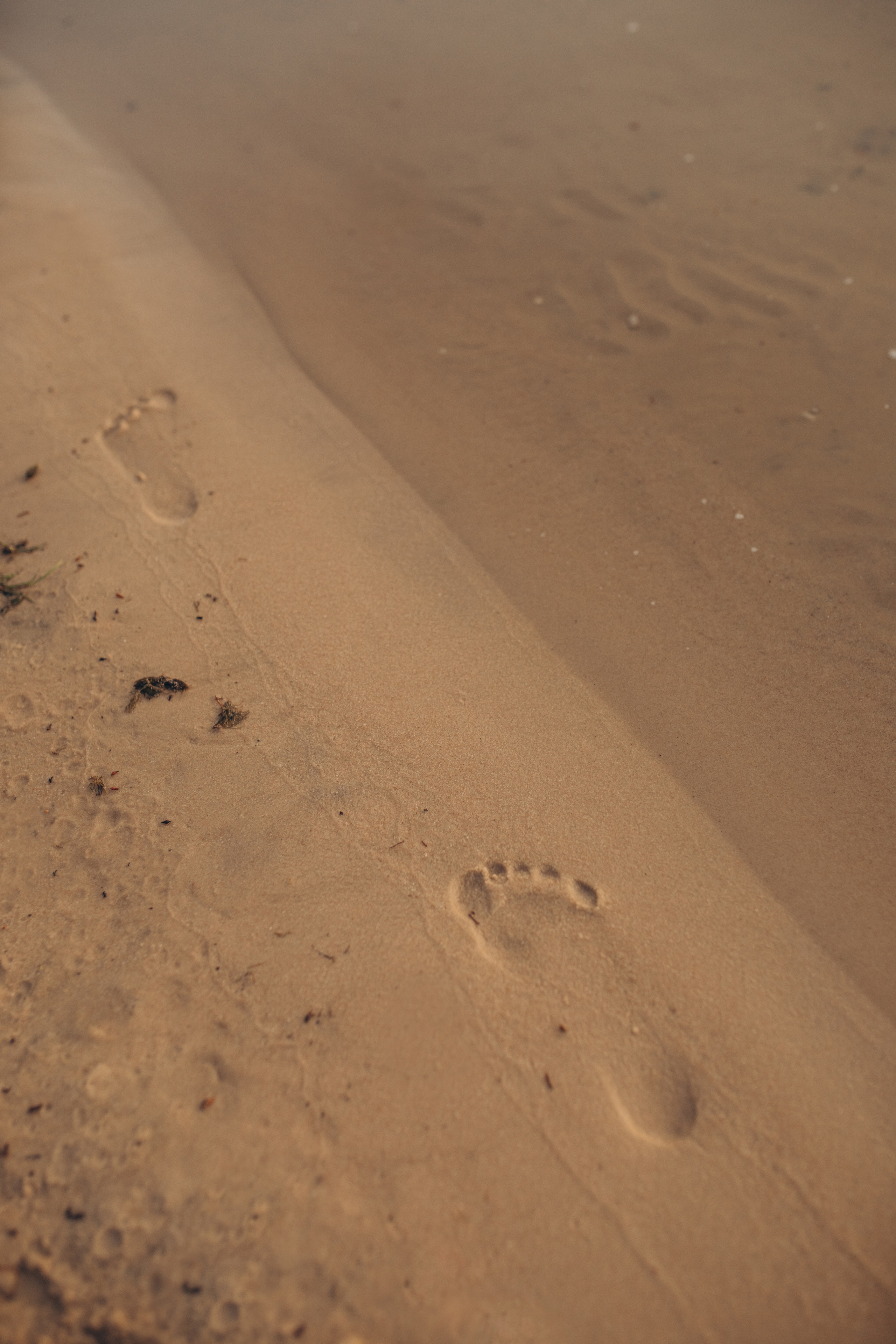 Танюша и Яся. Свадебный и семейный фотограф в Белгороде Евгения Курочкина