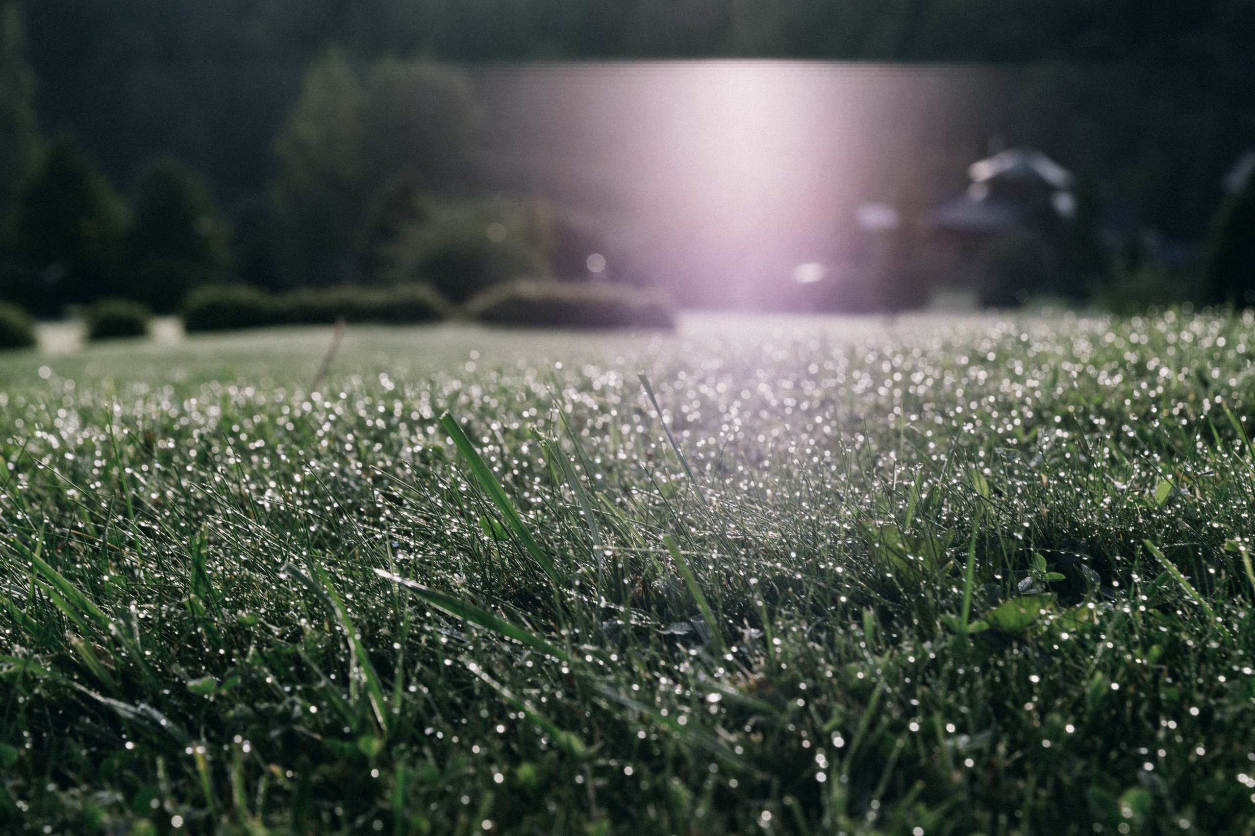 Алтай, природа и эстетика. Александр Чернин. Семейный и событийный фотограф