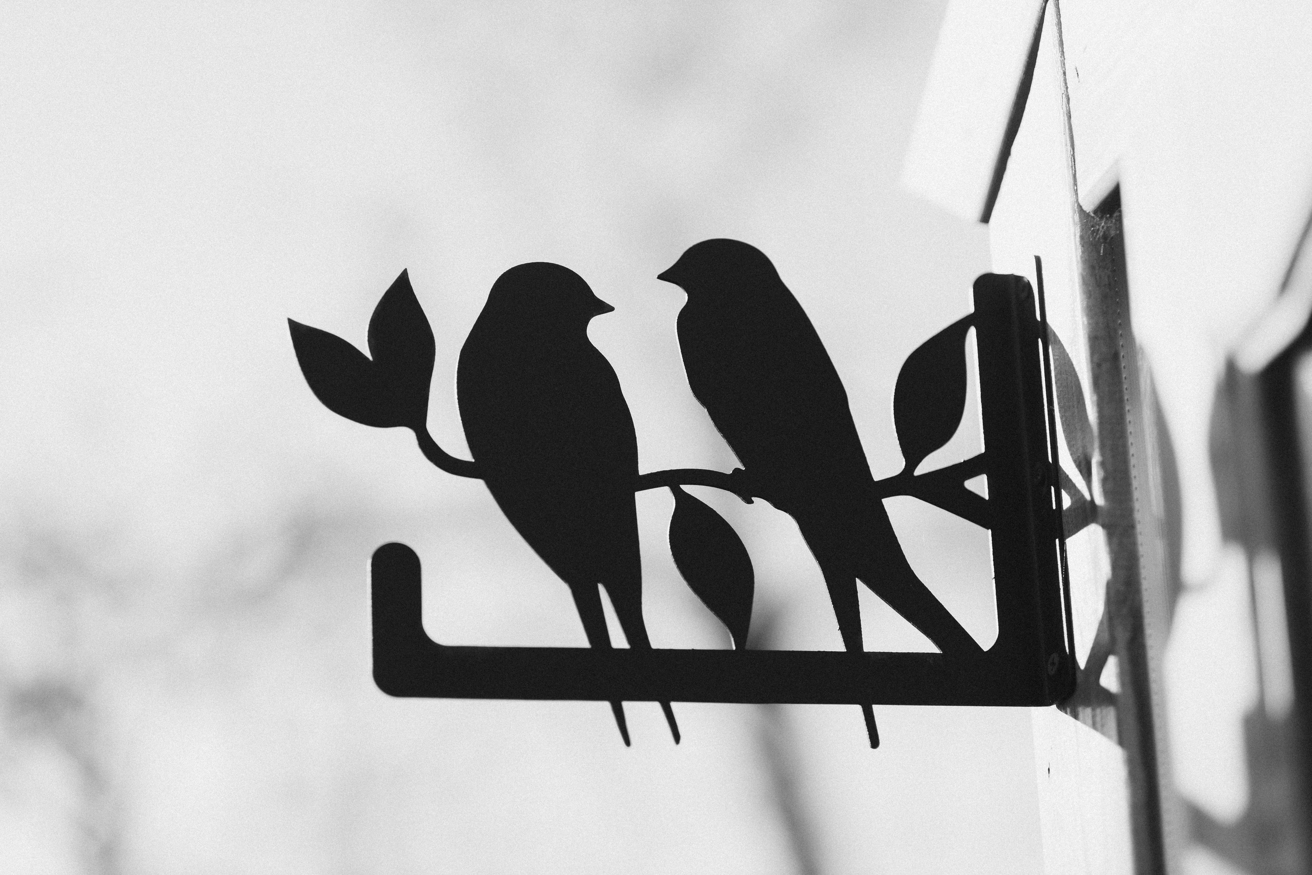 Камерная свадьба. Фотограф в Санкт-Петербурге Гусакова Ольга