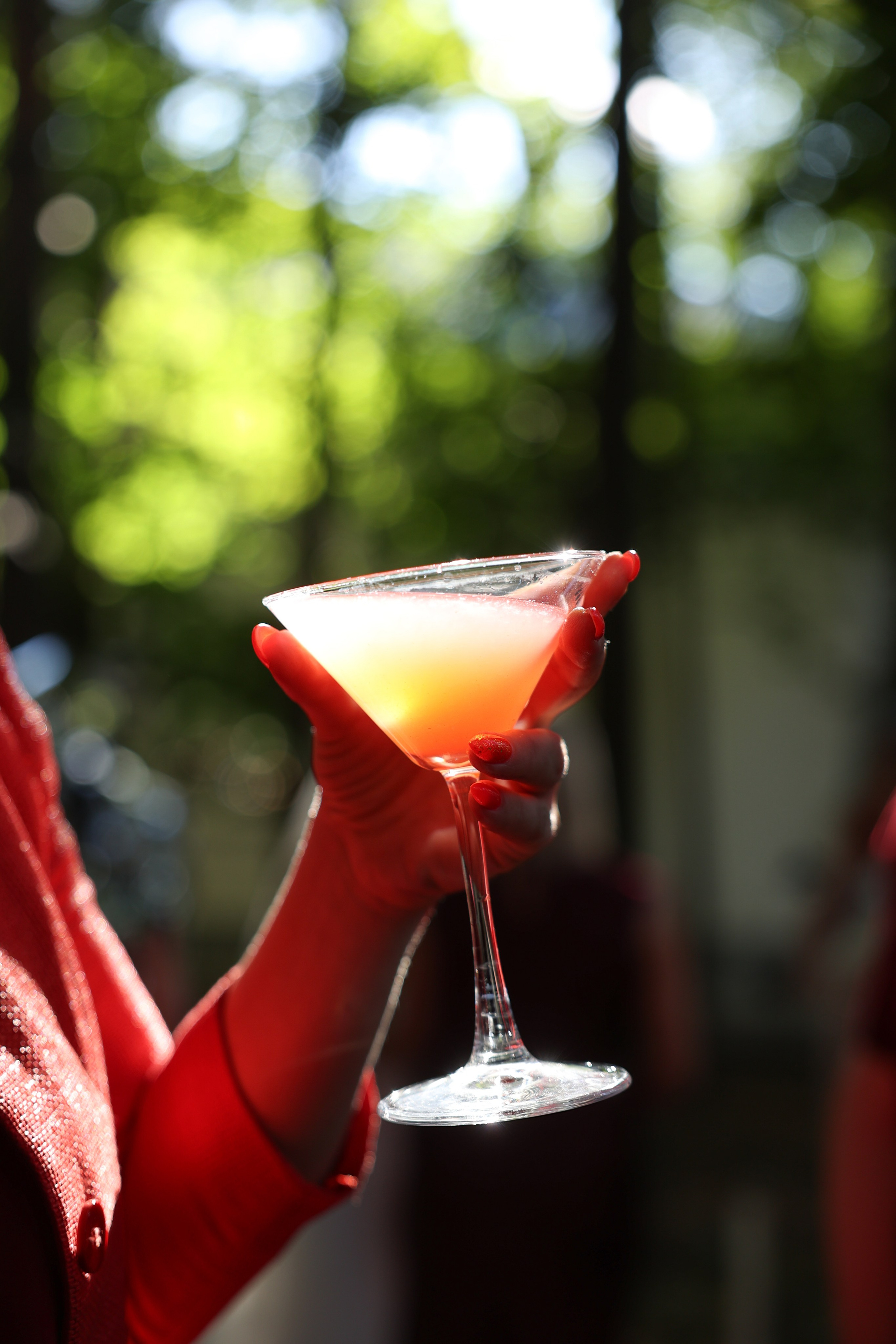 Lesnoi-bereg. Главная