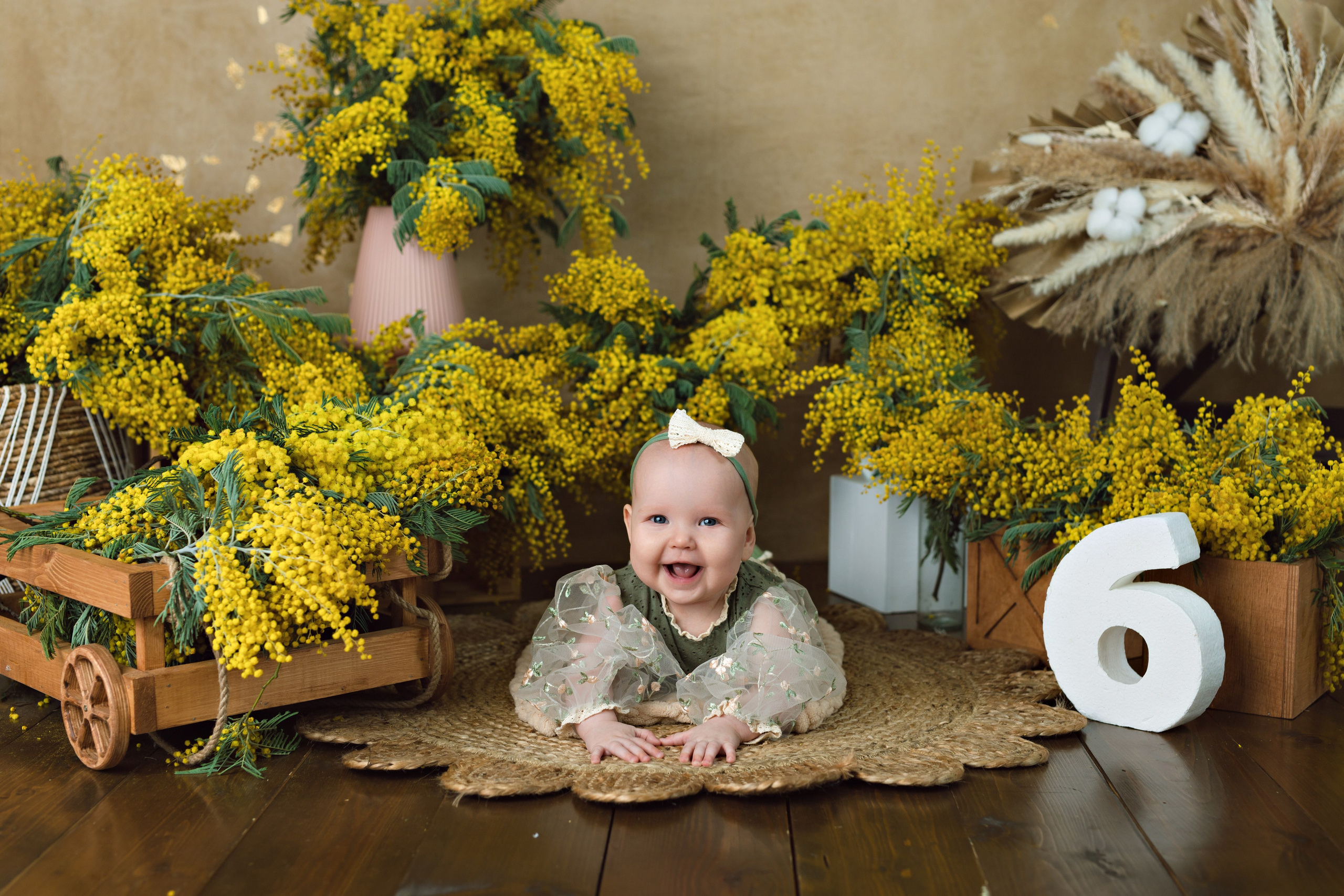 Мимозы. Фотограф Болотова Иветта