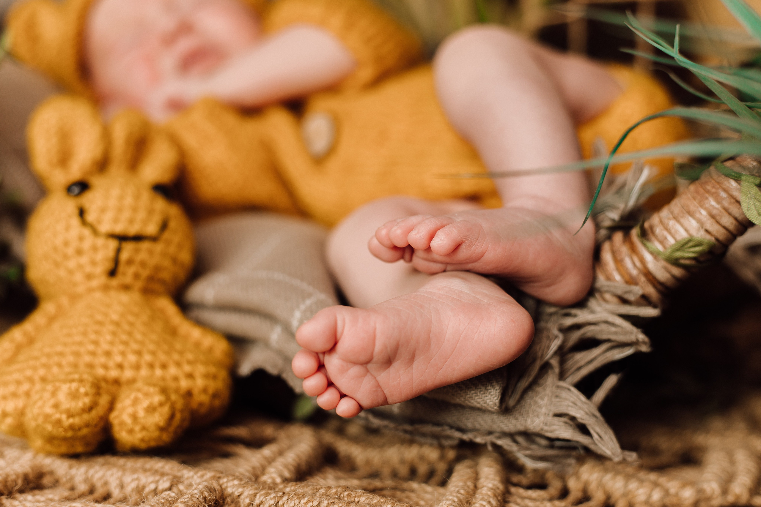 NEWBORN. Фотограф Красноярск Алина Степанчишина