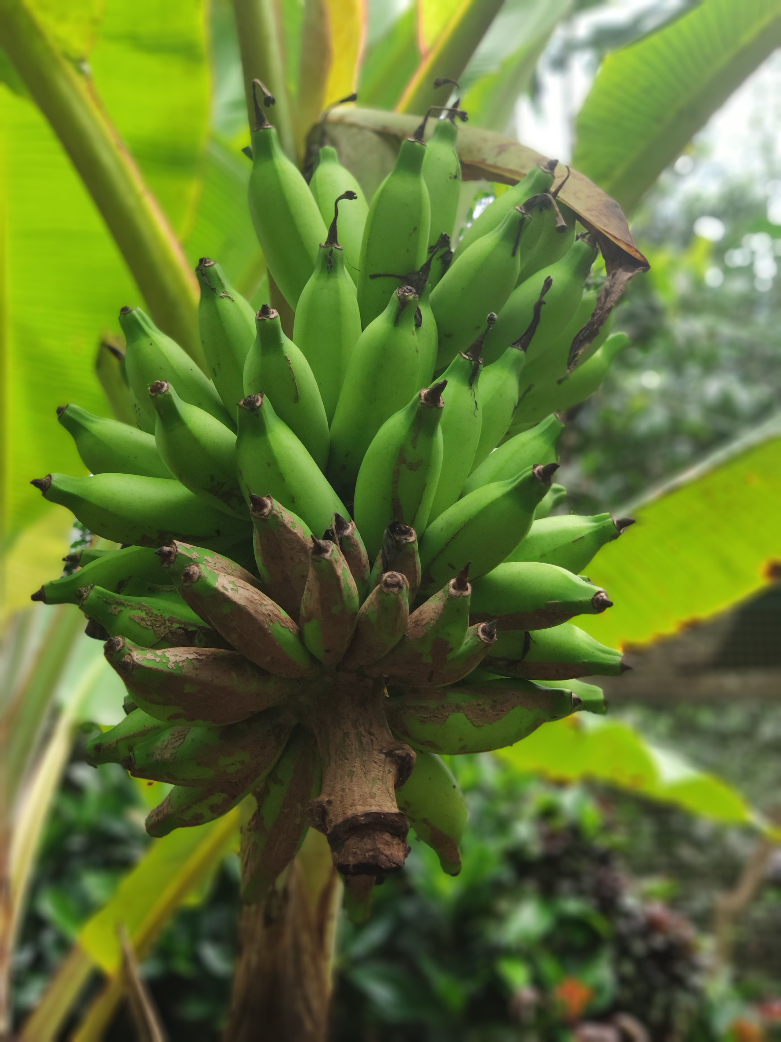 Indonesia (Bali Island). Фотограф Алексей Федорищев