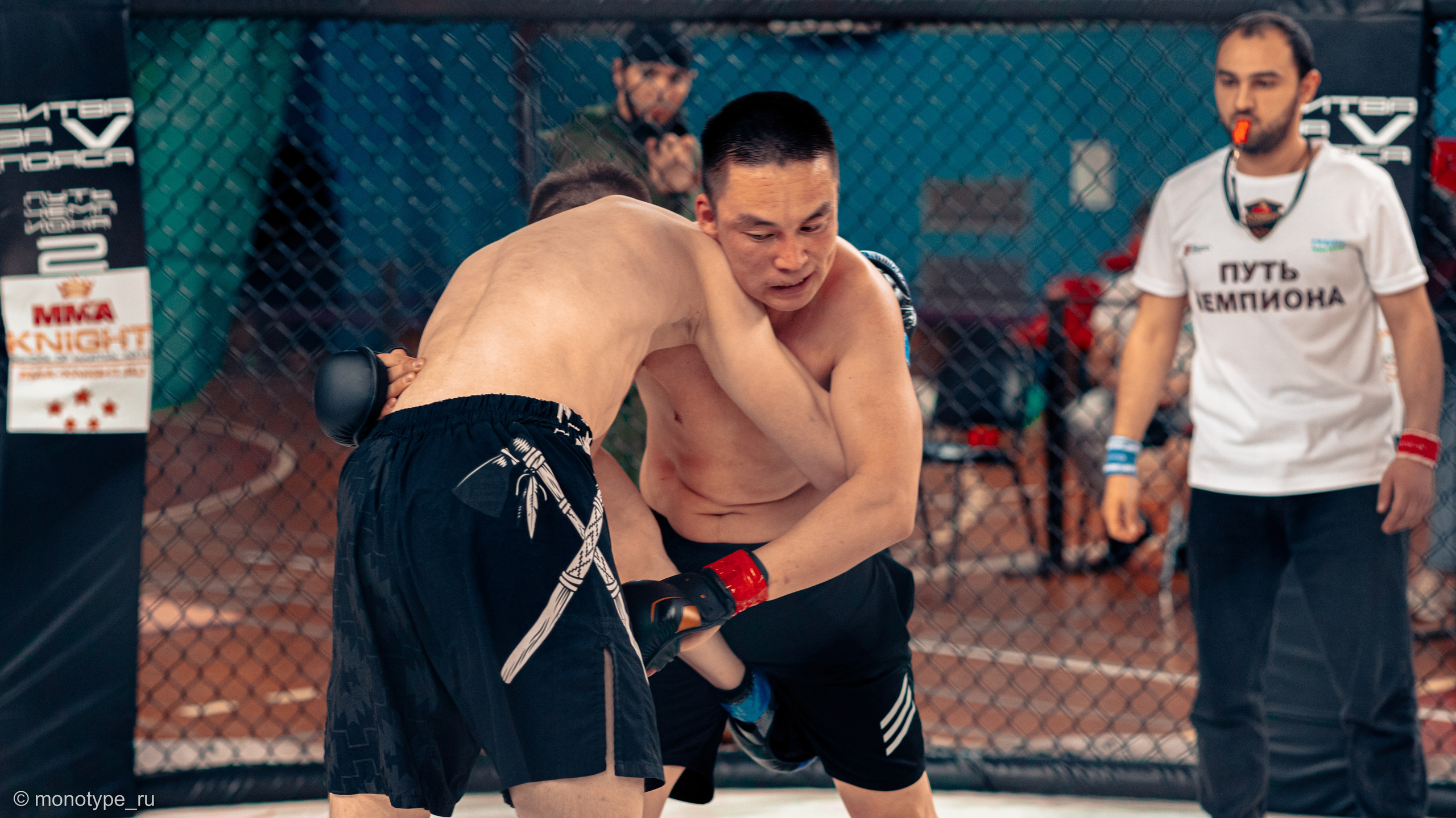 MMA. Бойцовский турнир