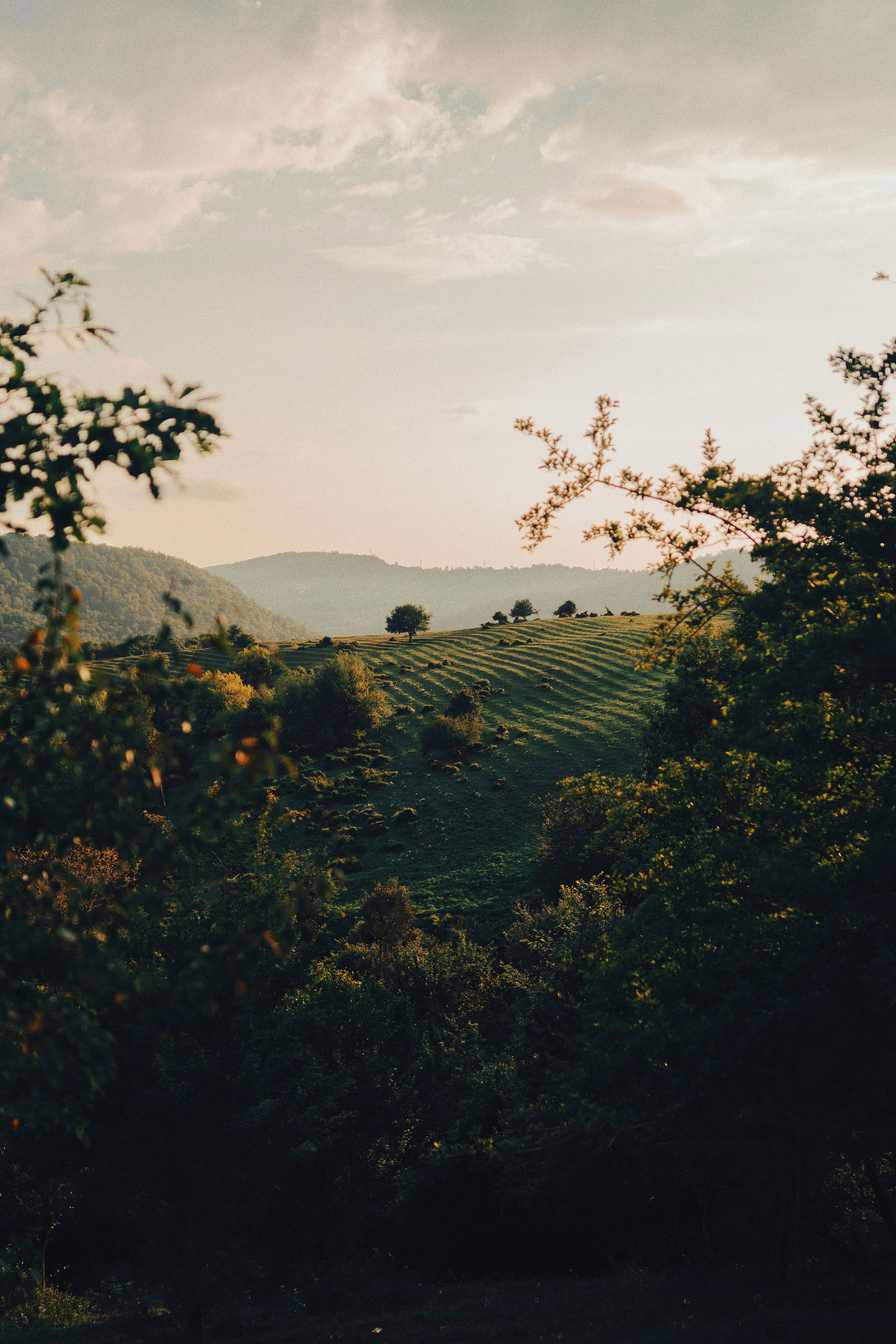 Фотограф в Москве Александр Иванов