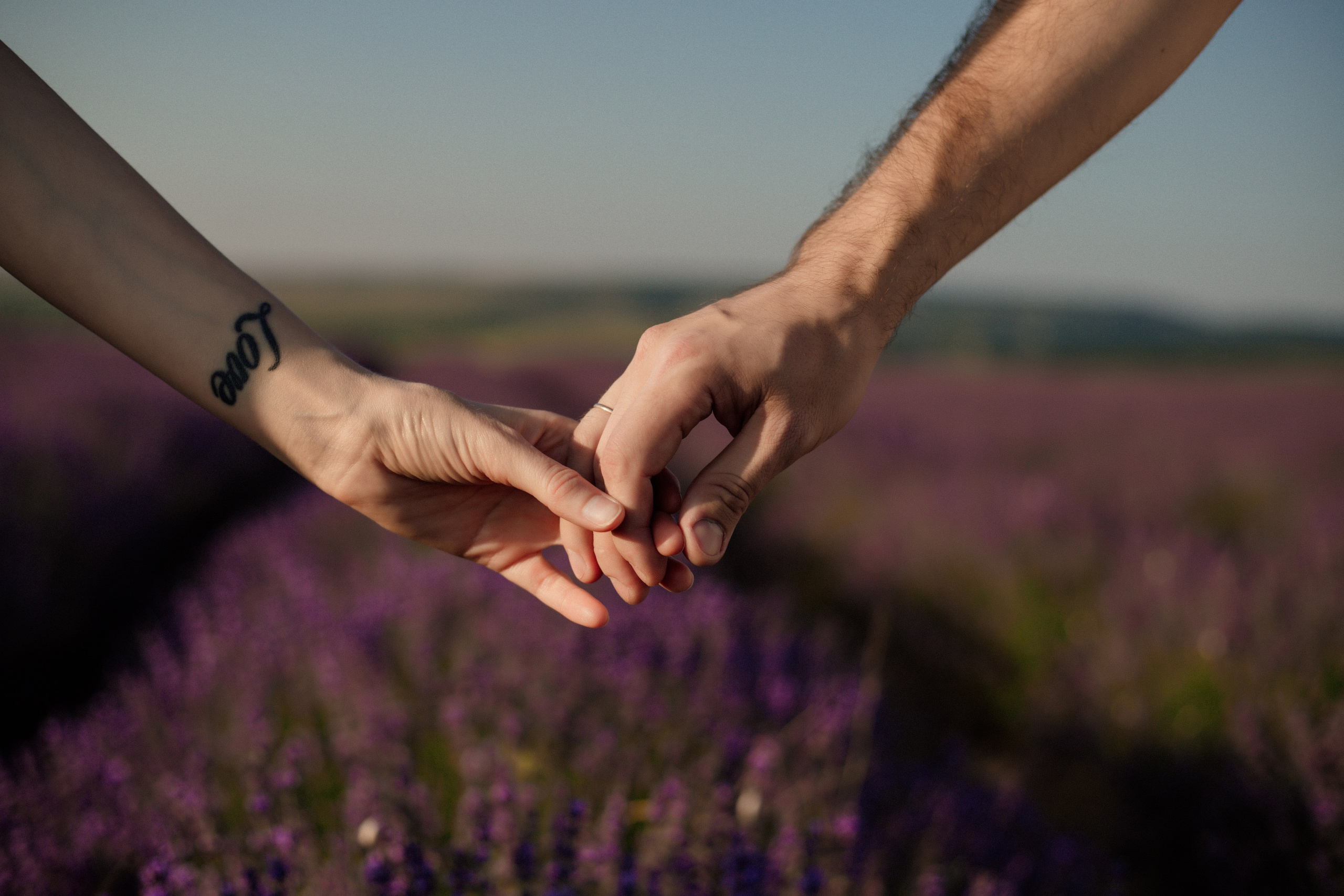 Лаванда. Фотограф и Видеограф Севастополь Крым