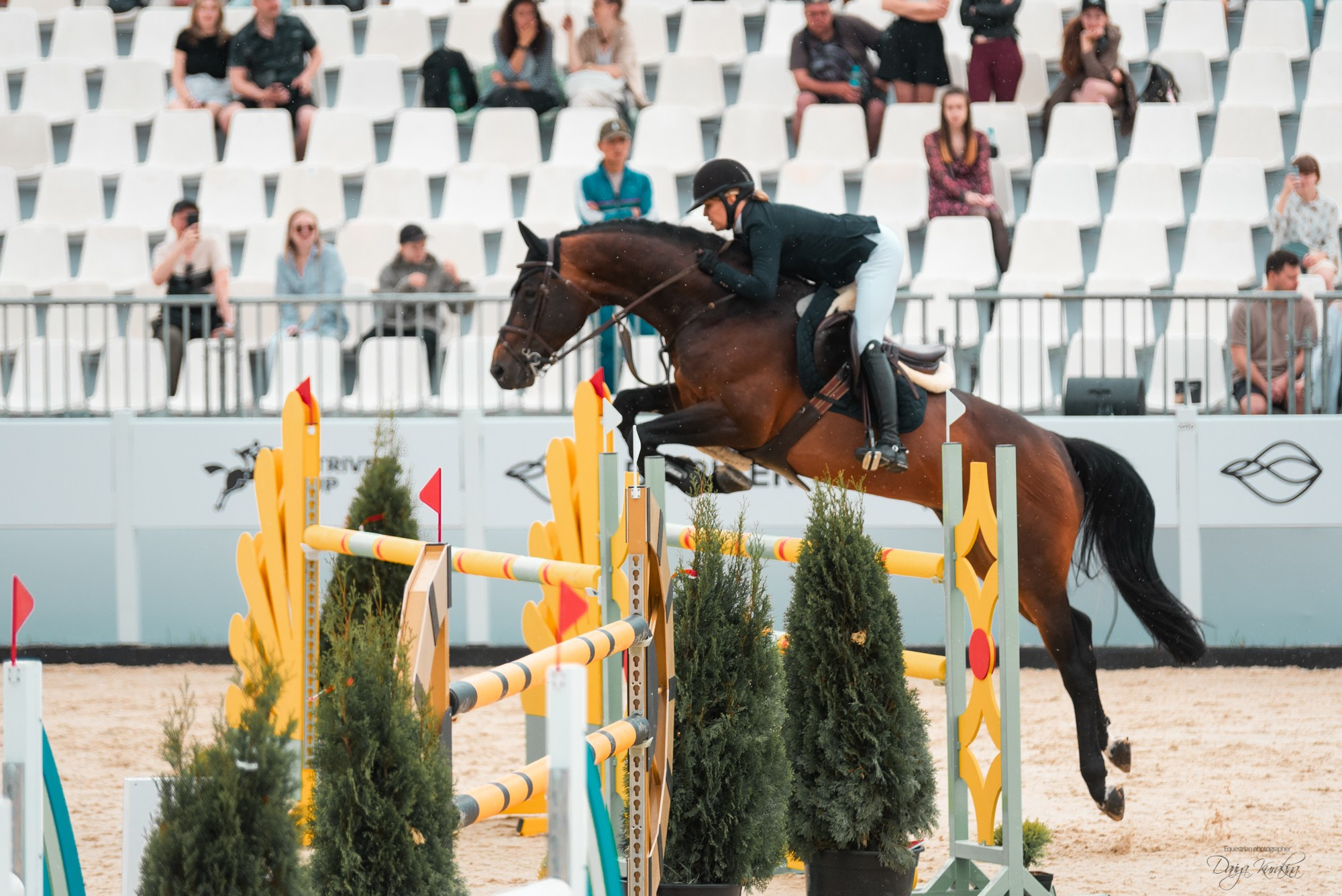 BITRIVER CUP 2023. Конный фотограф Куракина Дарья • Фотосессии с лошадьми