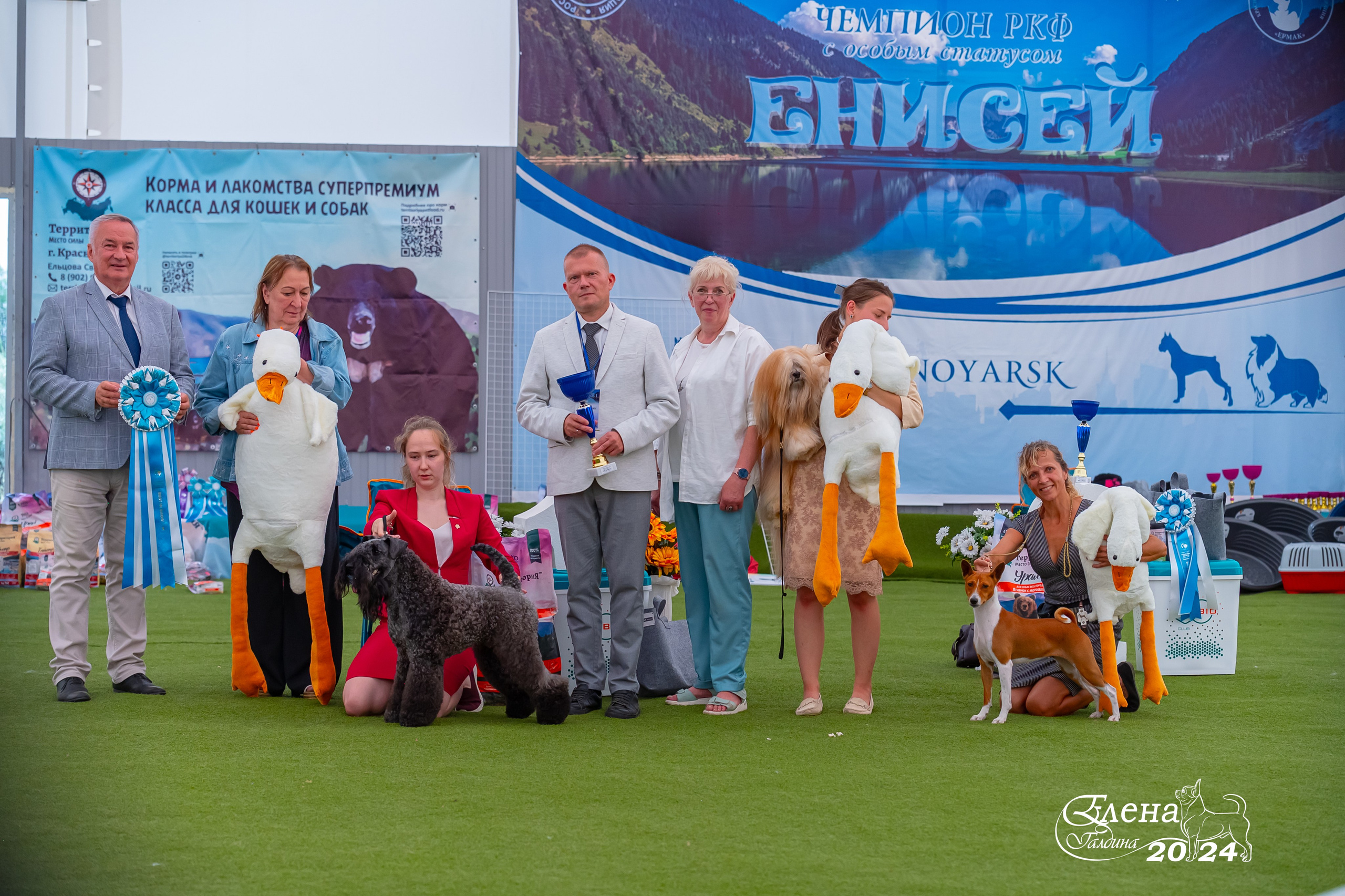 Главная. Фотограф анималист Елена Галдина г. Красноярск