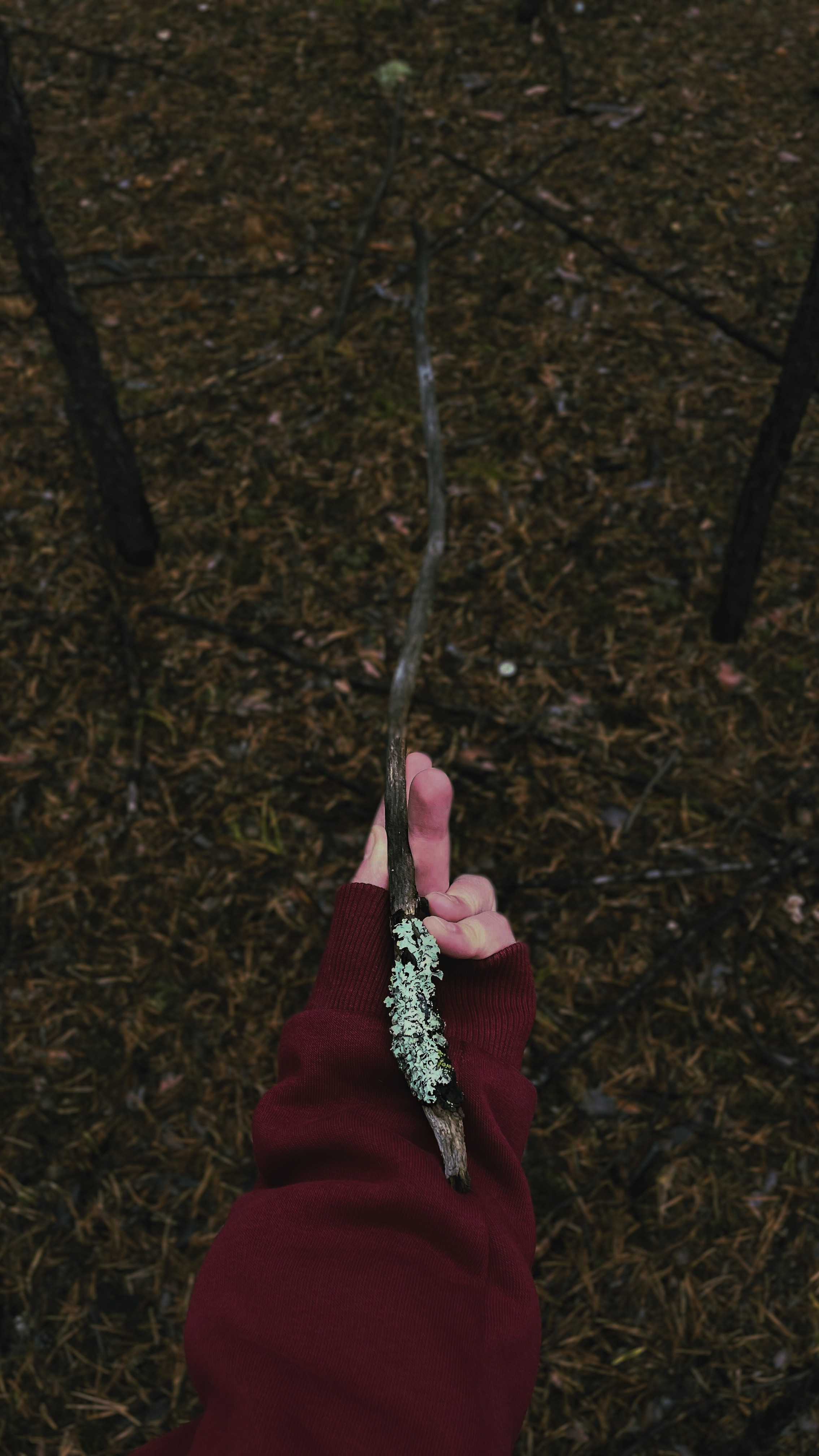 Прогулка. Профессиональная High-End Ретушь | Ретушер и предметный фотограф Алла Белова