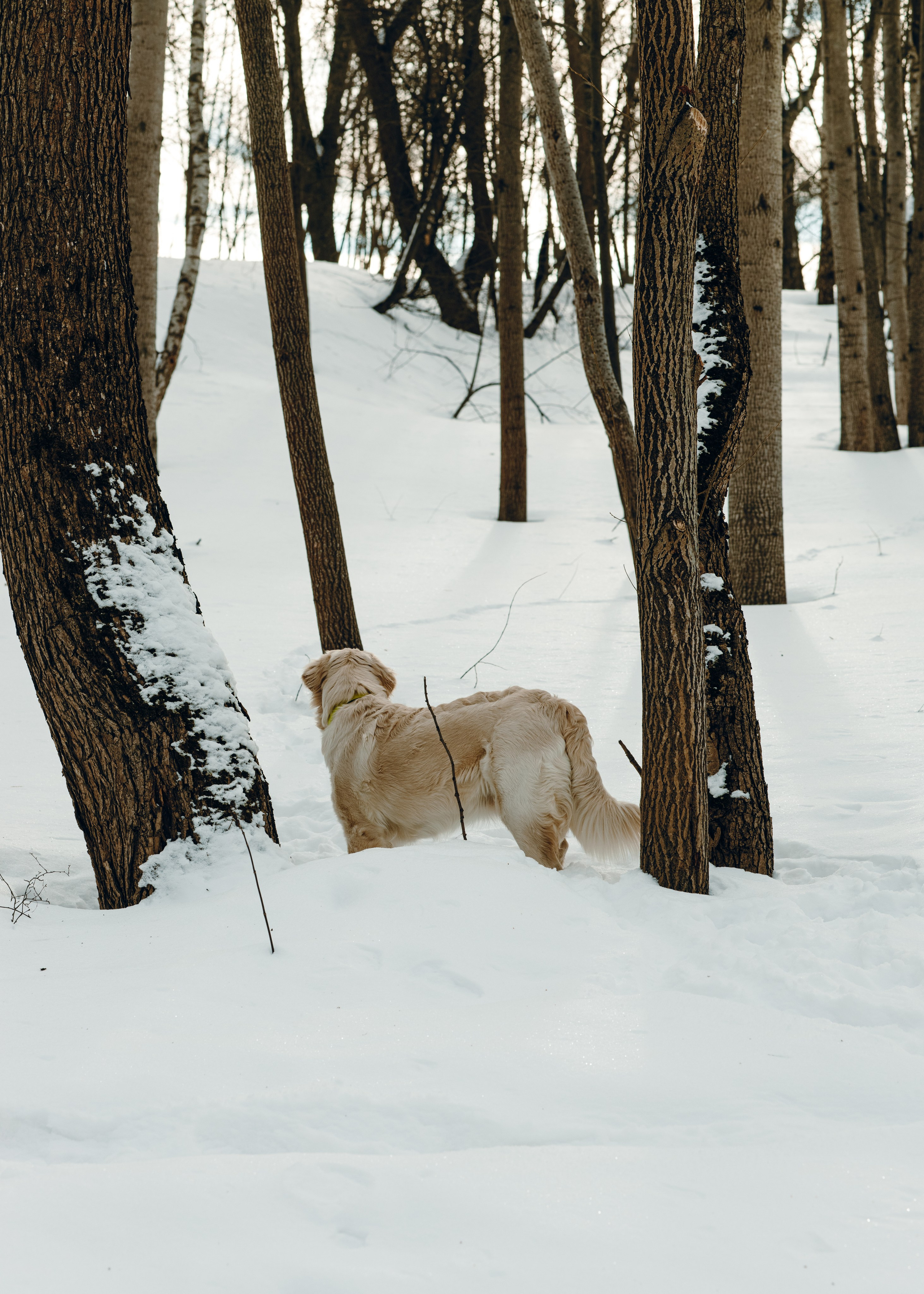 Эва и Настя. Анна Самохина. Фотограф. Москва