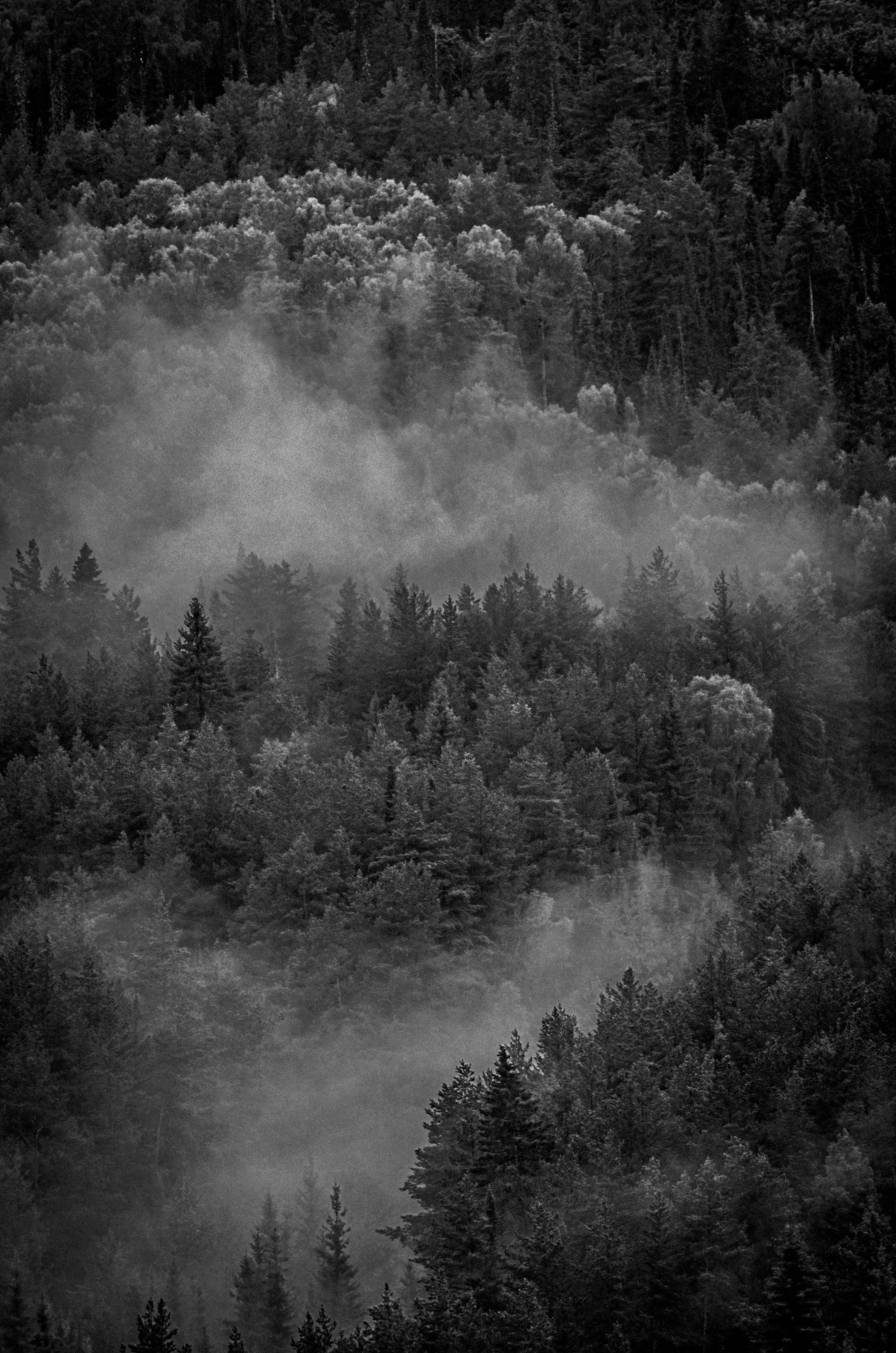 Nature. Портретный фотограф в Москве Ксения Богданова