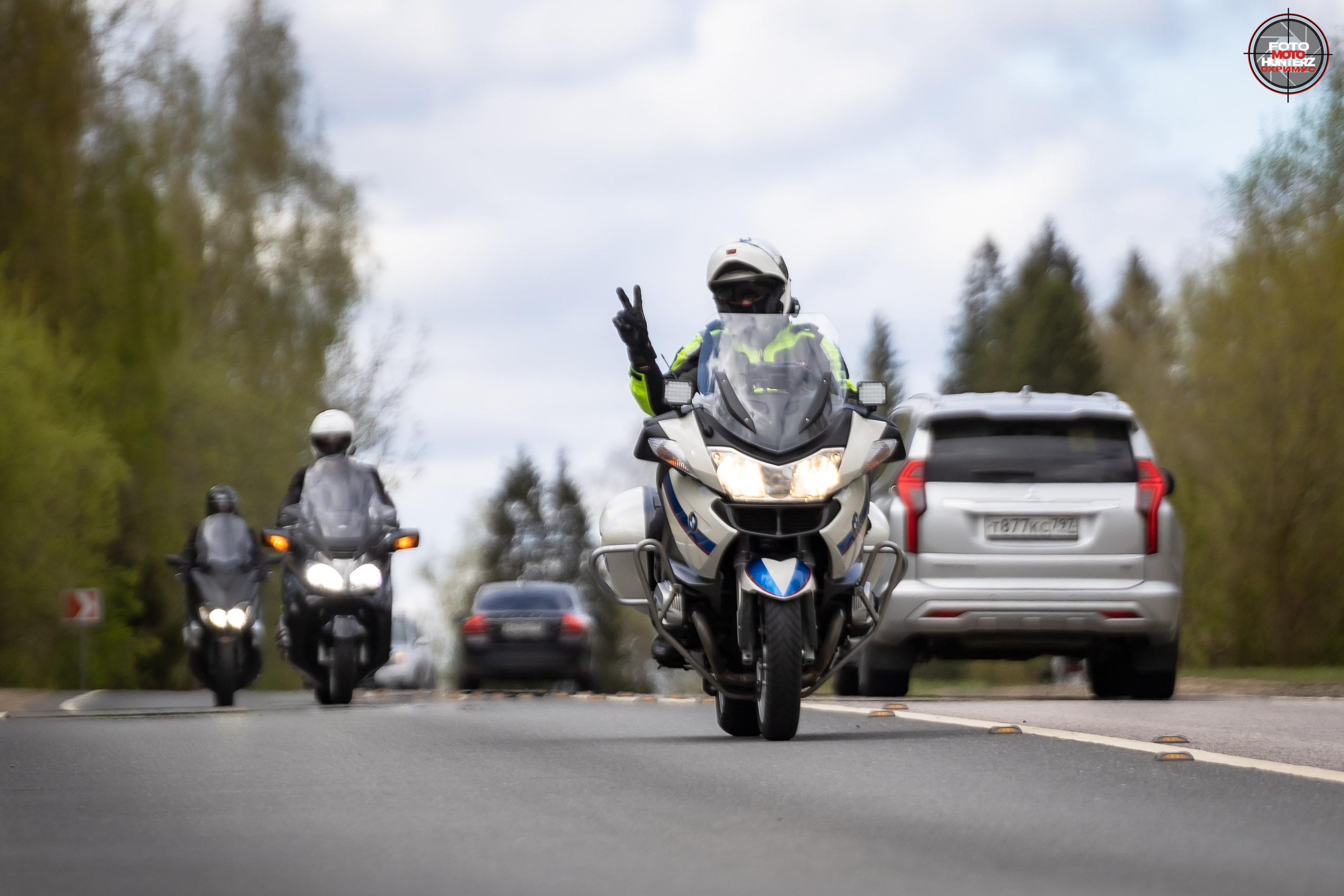 Первое Сафари в 2025 г. на Рогачевском ш. Фотограф Владимир Охрименко