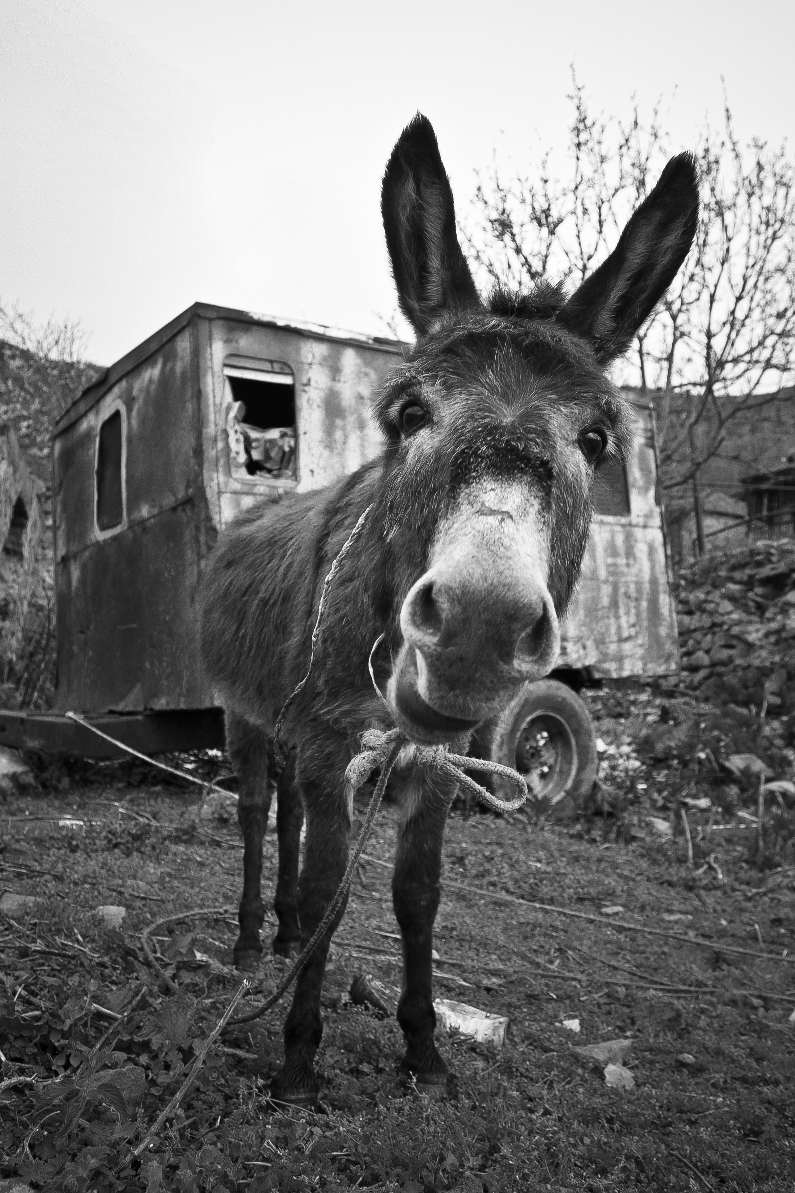Армения. Двадцать лет спустя. Репортажный фотограф во Всеволожске и Санкт-Петербурге Владимир Капустин