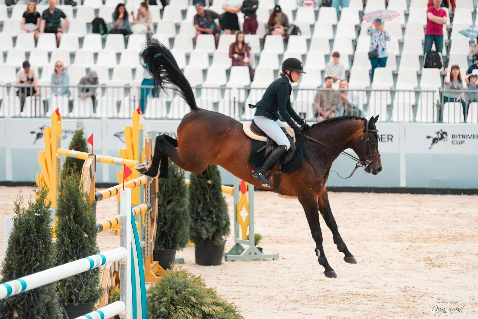 BITRIVER CUP 2023. Конный фотограф Куракина Дарья • Фотосессии с лошадьми