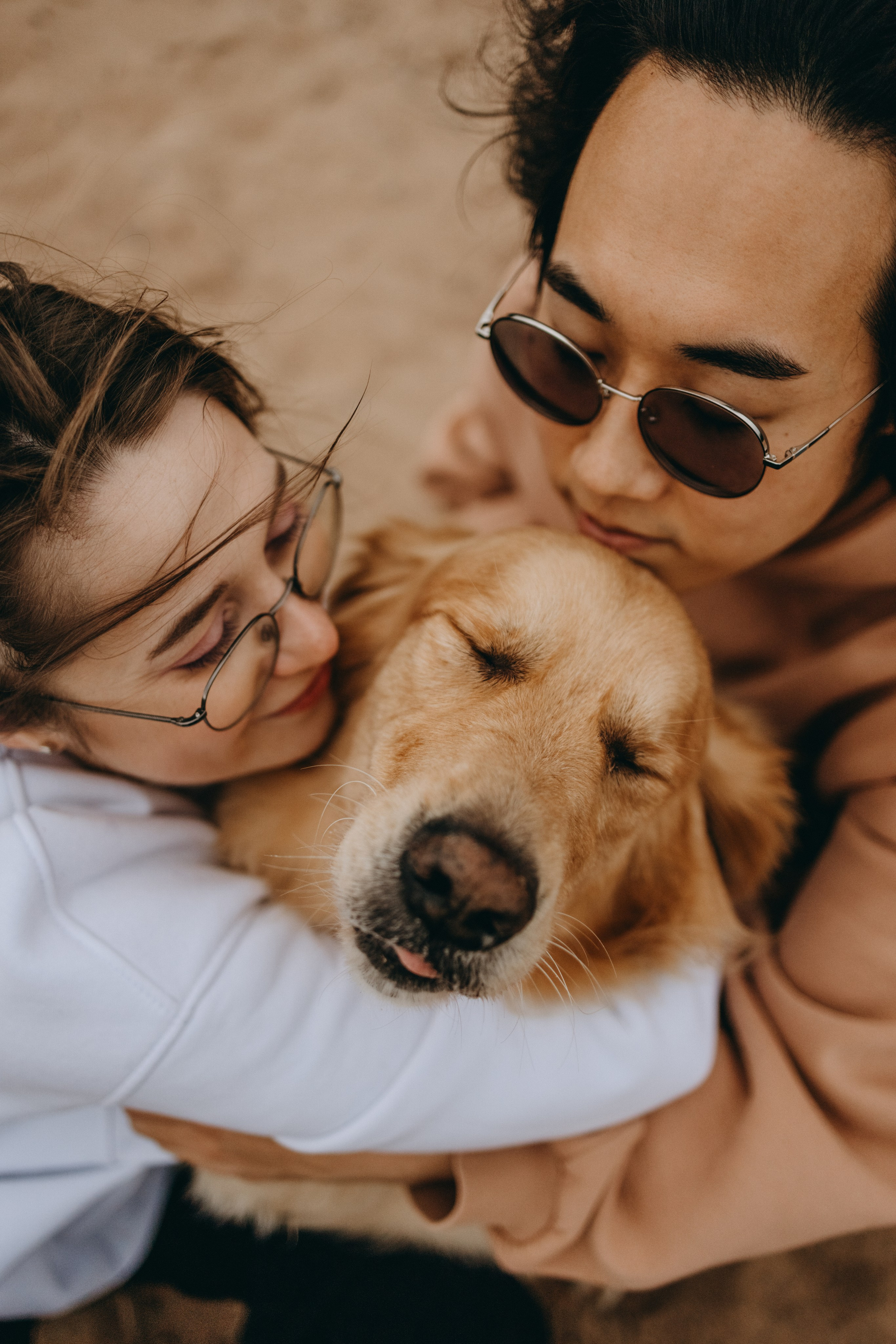 Фоси и его семьи. Фотограф — Анималист | Санкт-Петербург