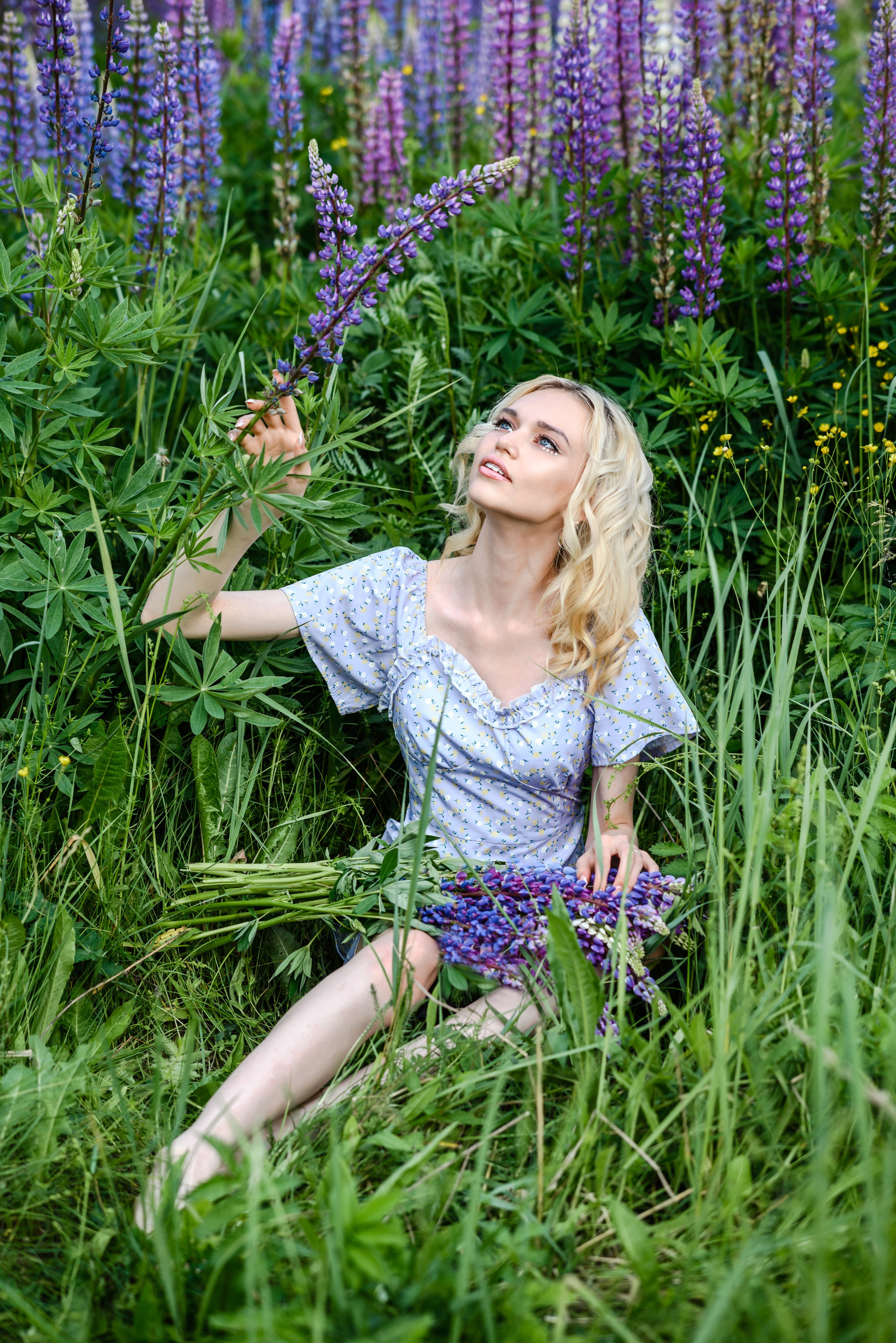 Владлена в люпинах. Свадебный и семейный фотограф в Дзержинске Екатерина Шулакова