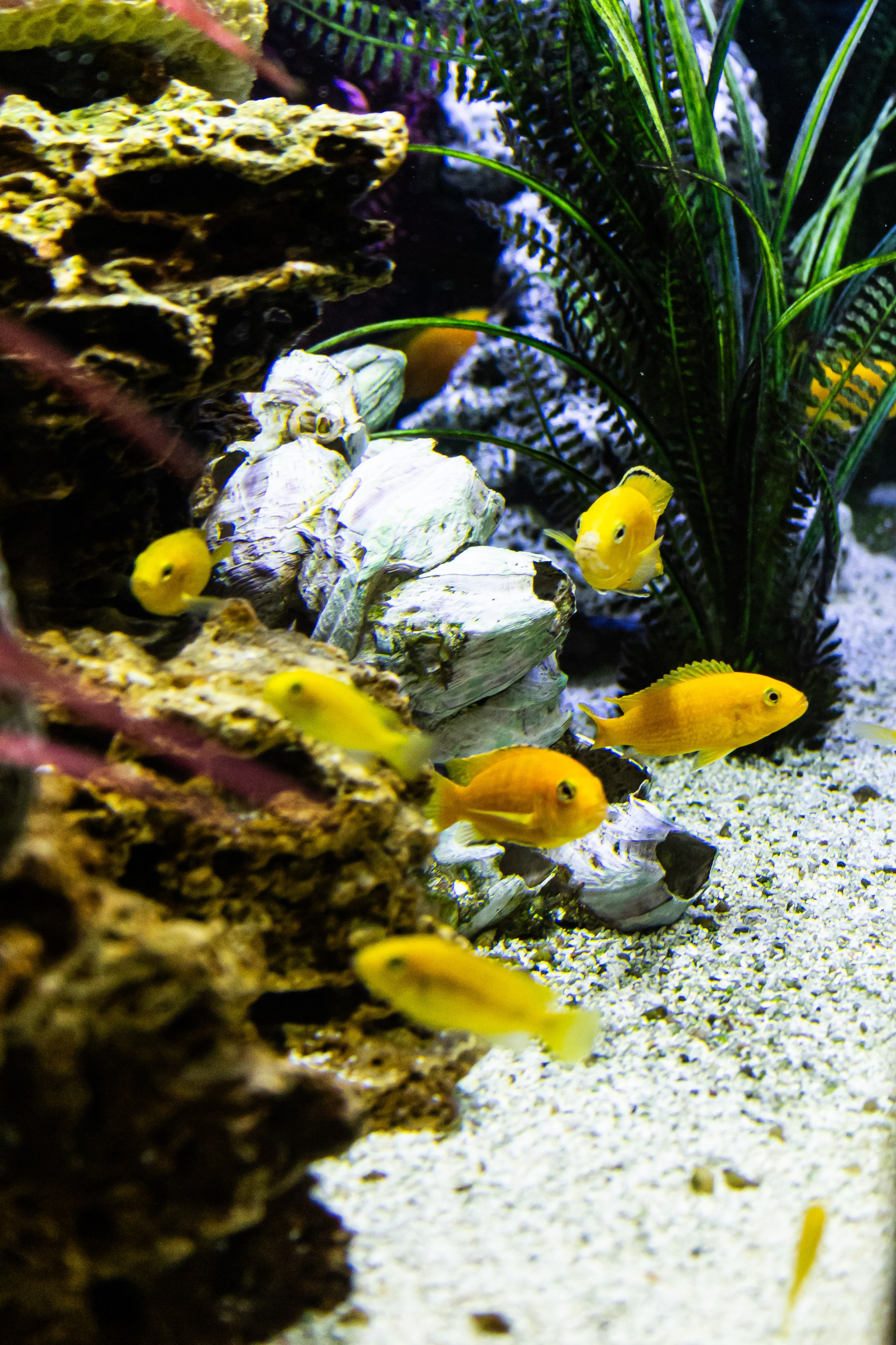 Детали. Свадебный Фотограф в Иркутске Екатерина Елисеева