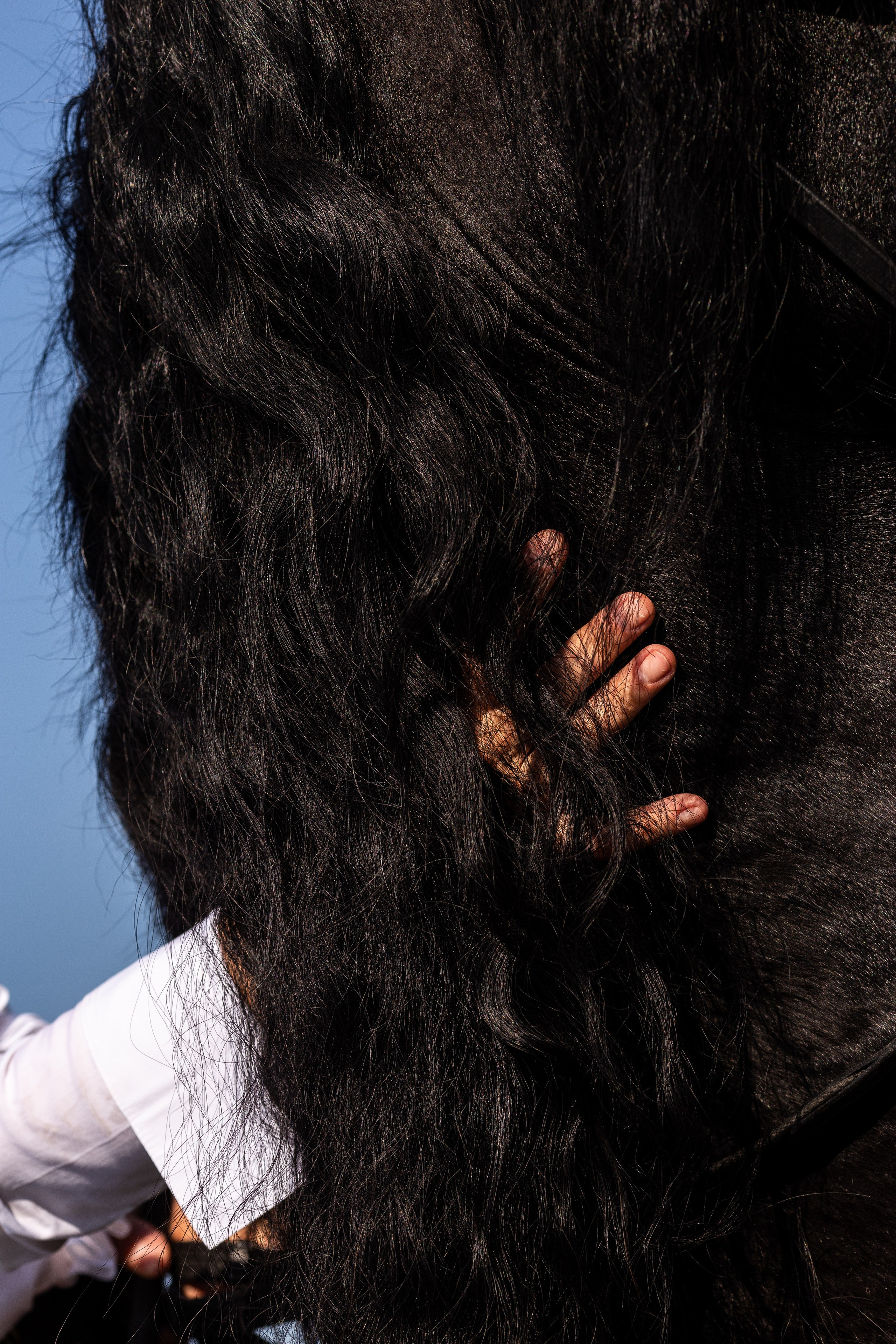 Конный шик. Фотограф Юлия Гросс