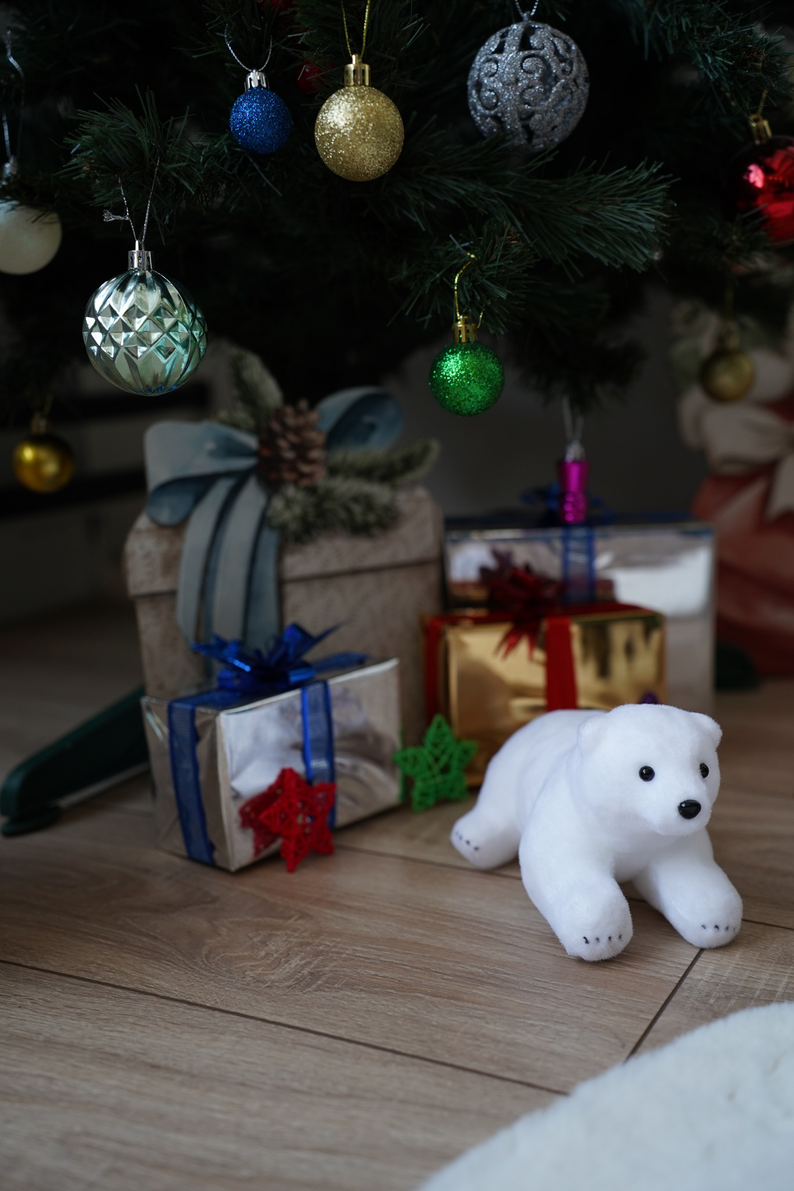 Студия 100 квадратов. Фотограф г. Хабаровск. Семейные и индивидуальные съёмки