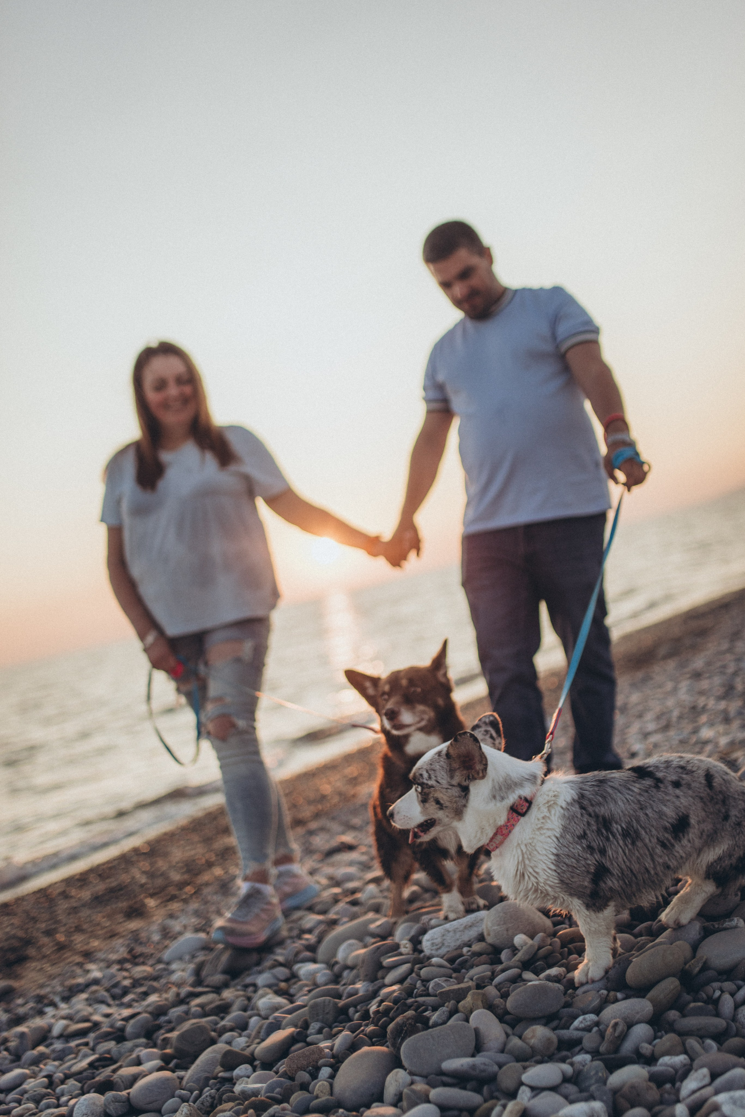 🐕 Катя и Дима 🐕. Фотограф в Сочи — Маргарита Поганова