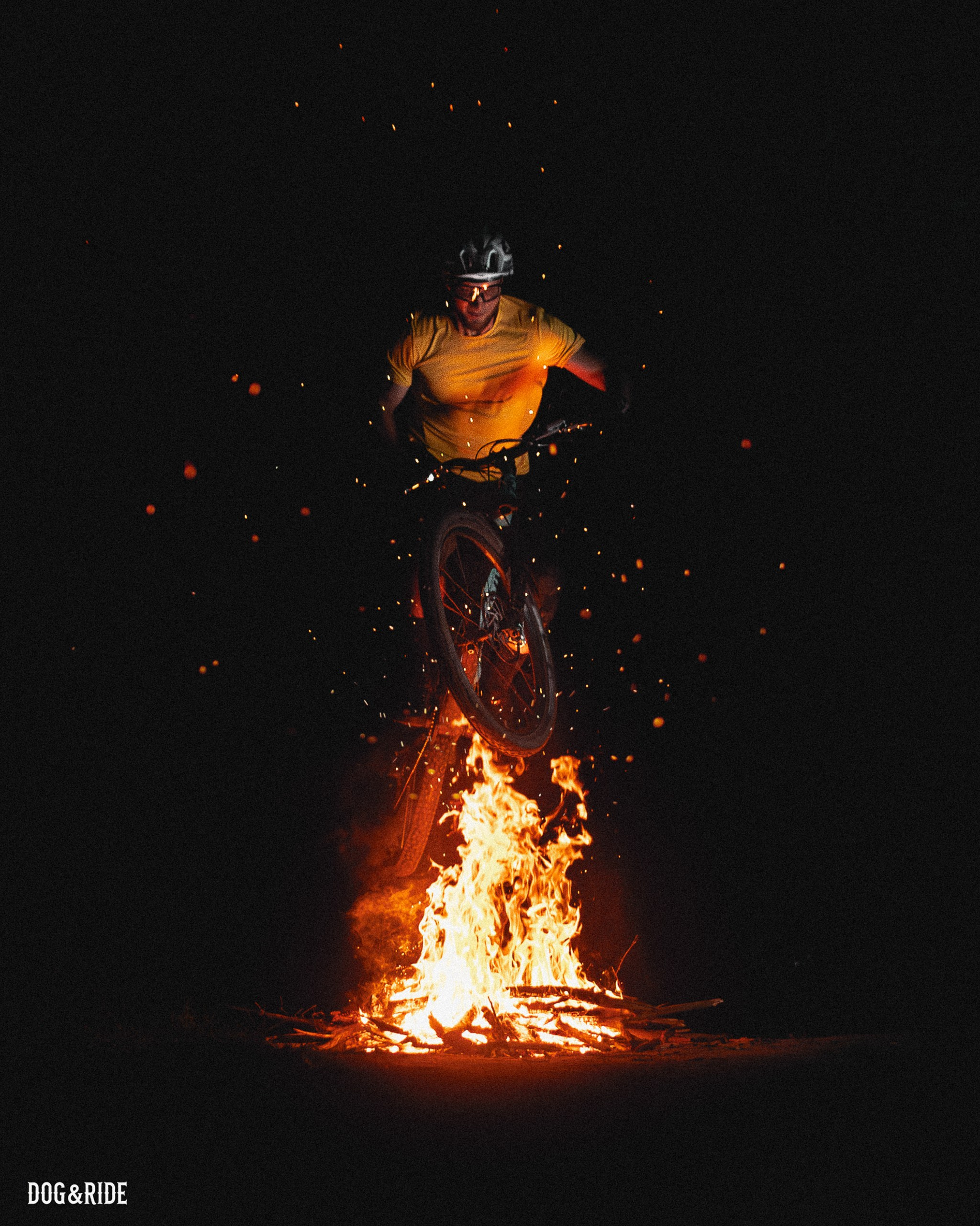 Шабаш. Фотограф анималист Никита Натальный