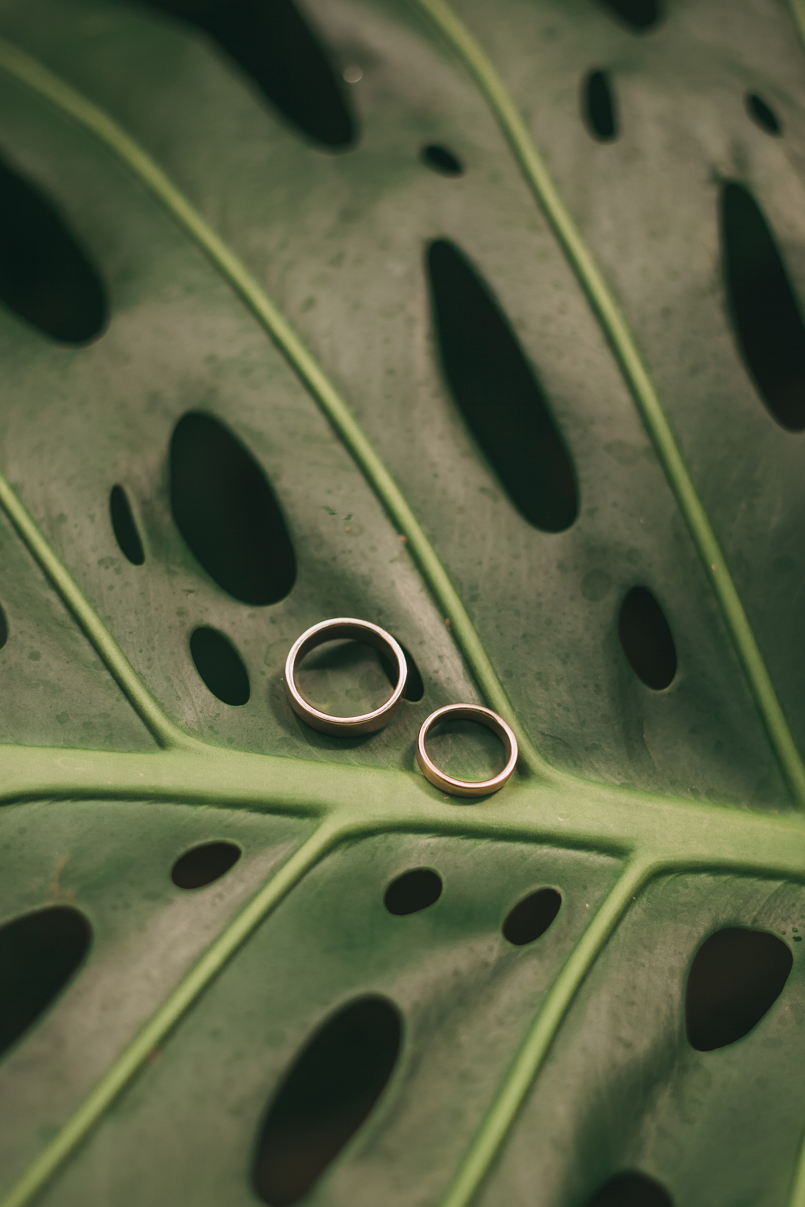 Сергей и Инна. Семейный и свадебный фотограф в Ижевске Лушникова Екатерина